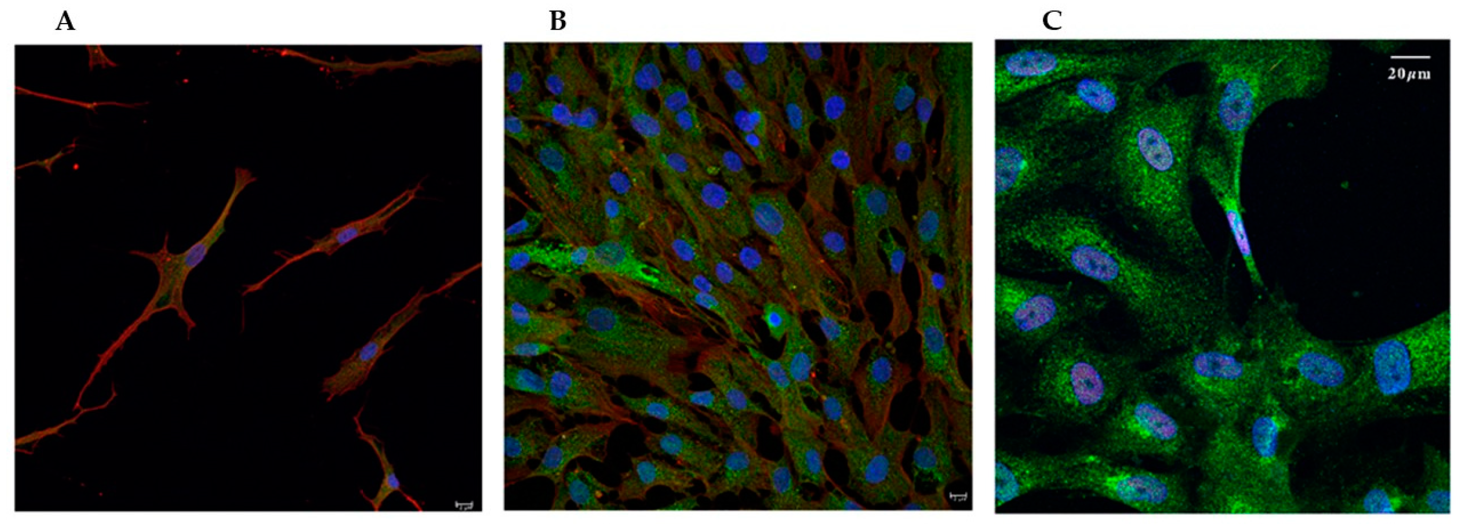Preprints 153722 g006
