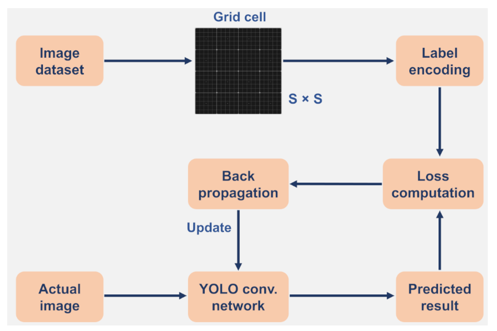 Preprints 182279 g002