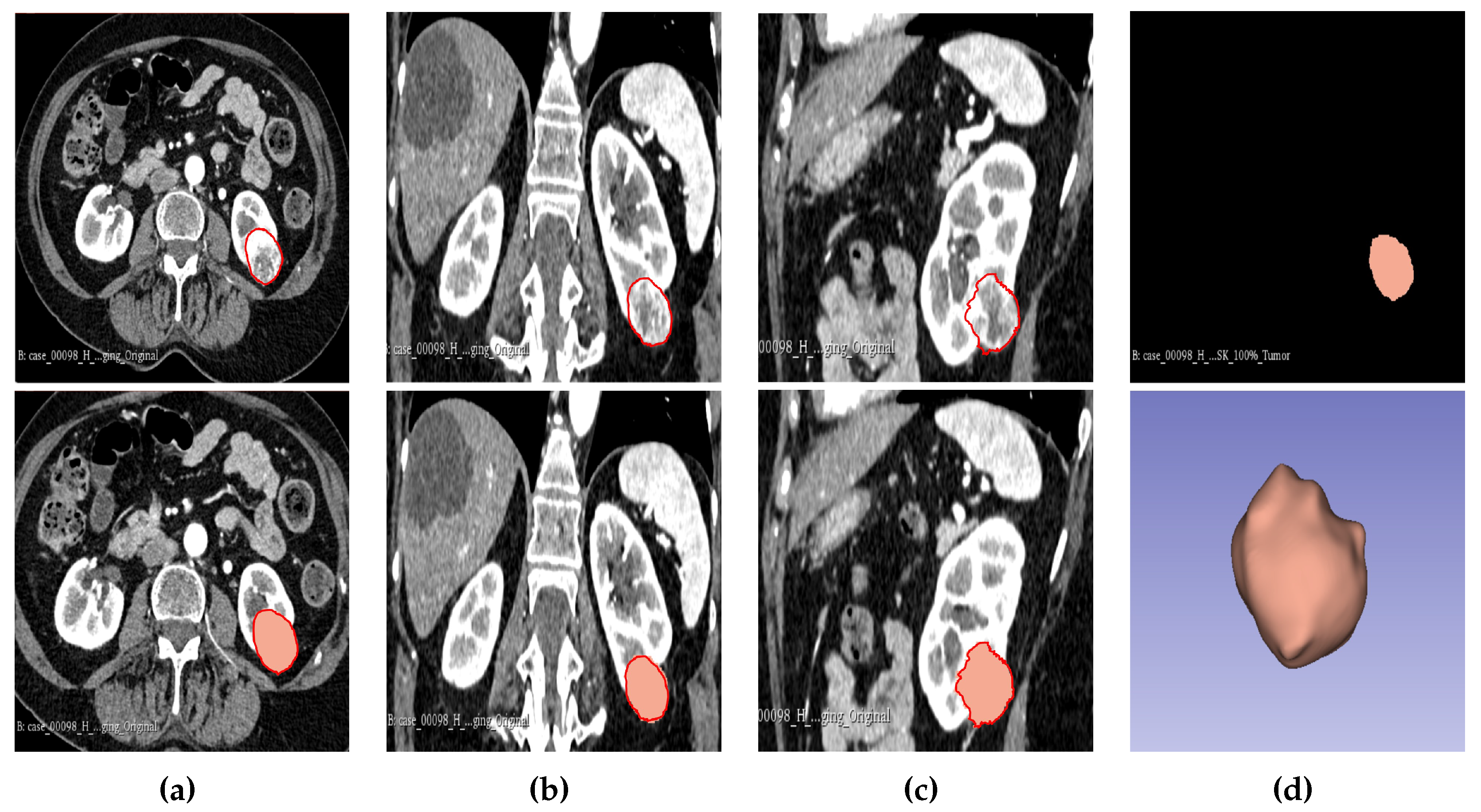 Preprints 93718 g002