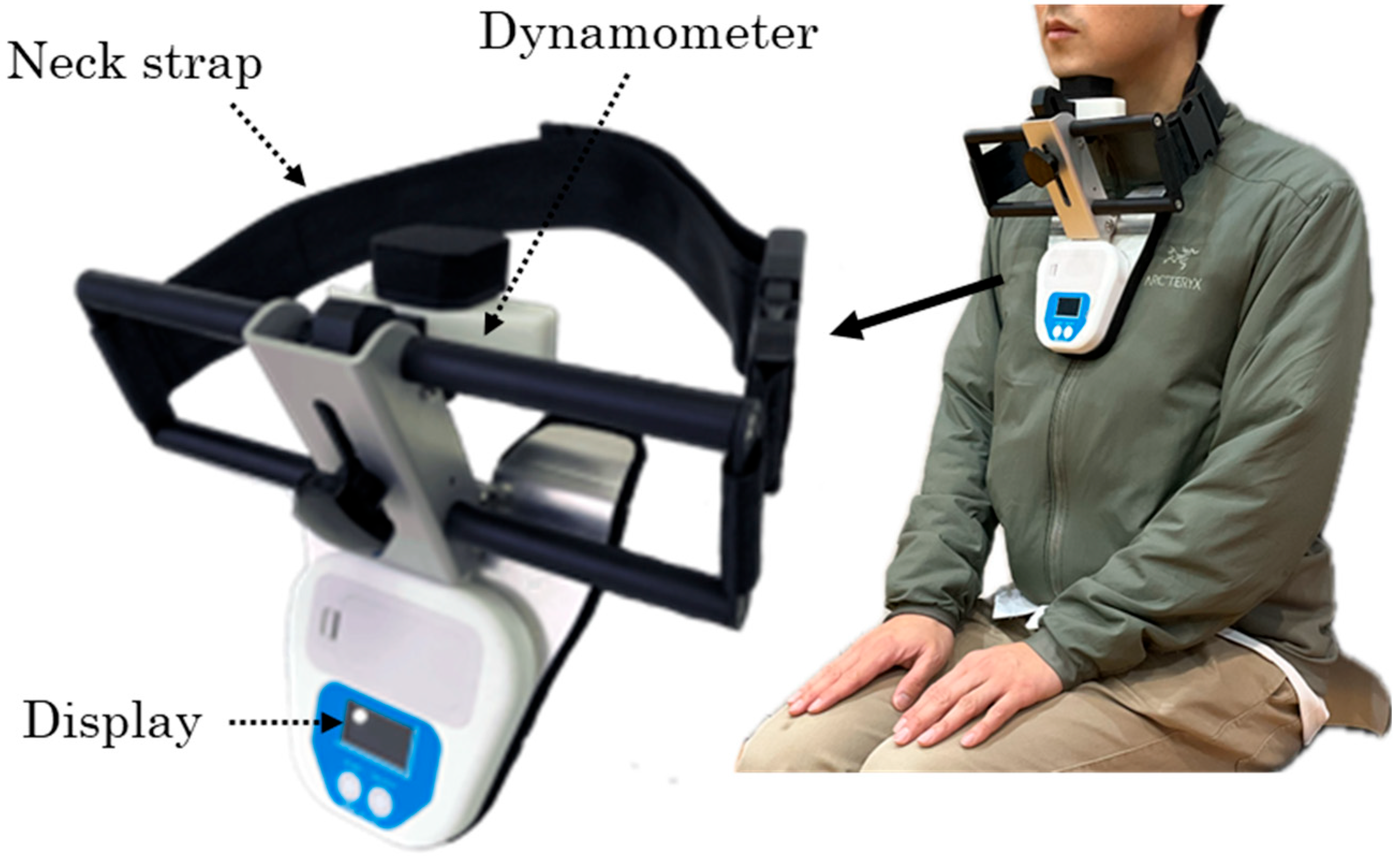Preprints 193465 g001