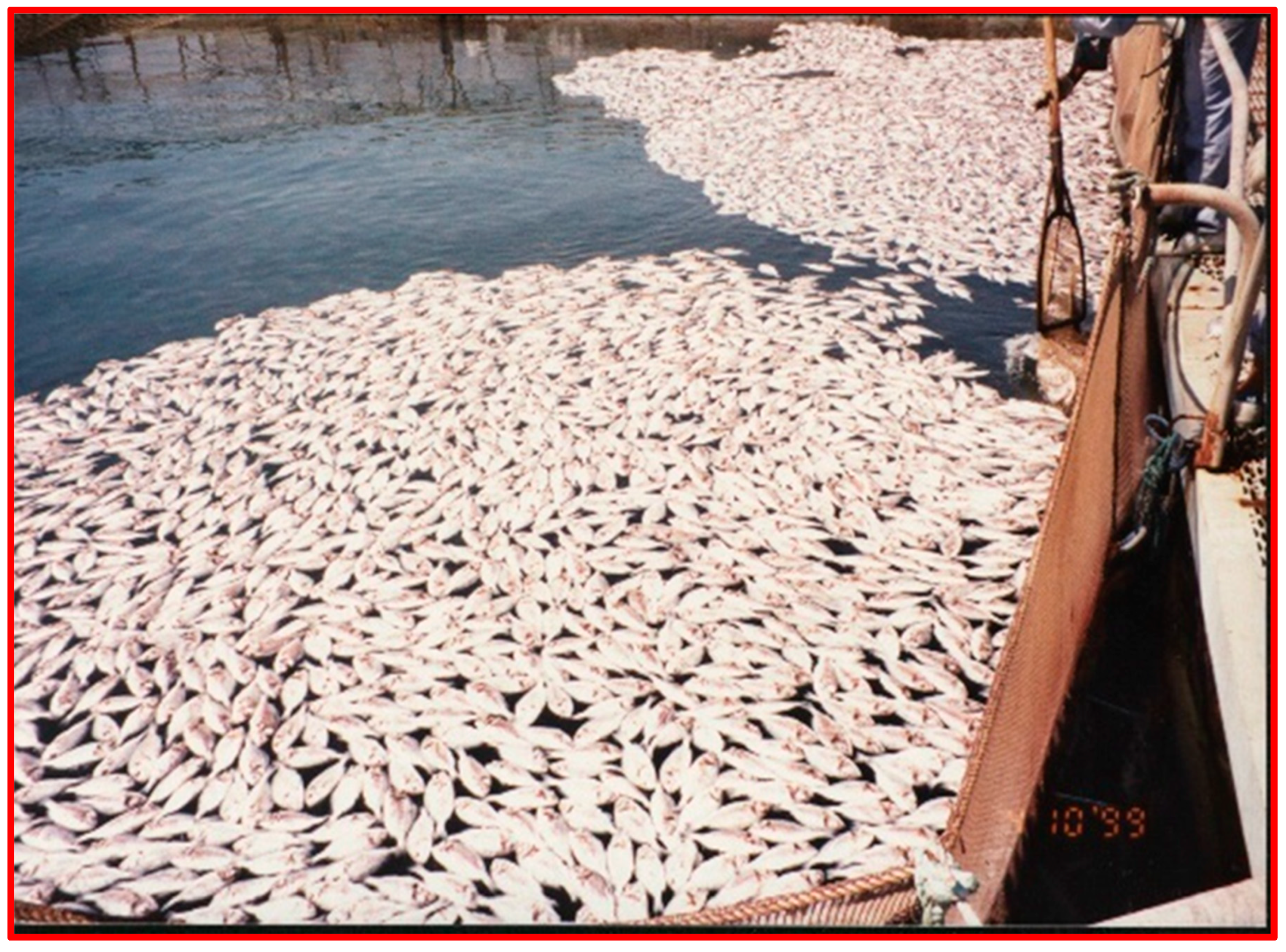 Preprints 138701 g003