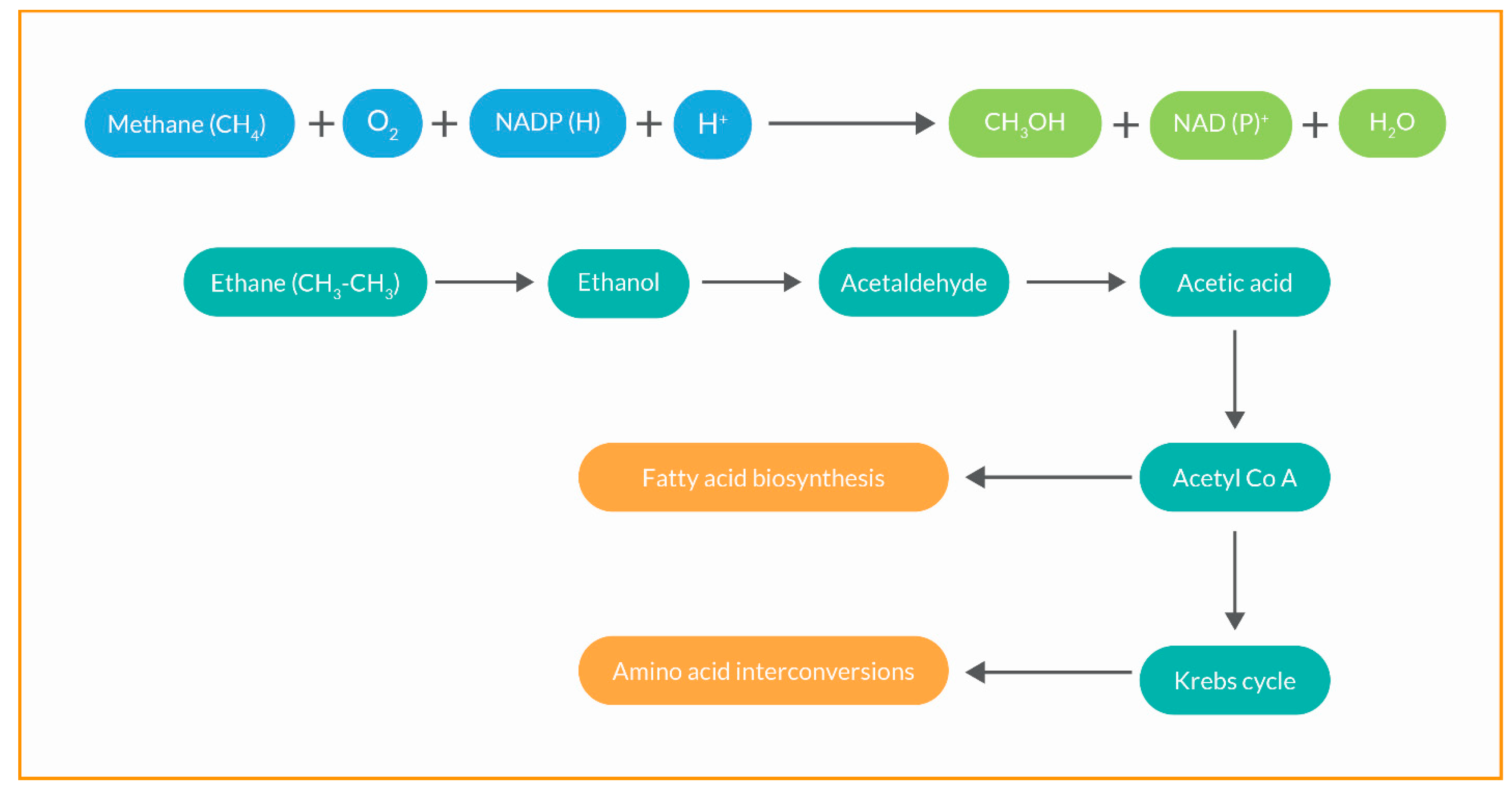 Preprints 138701 i004