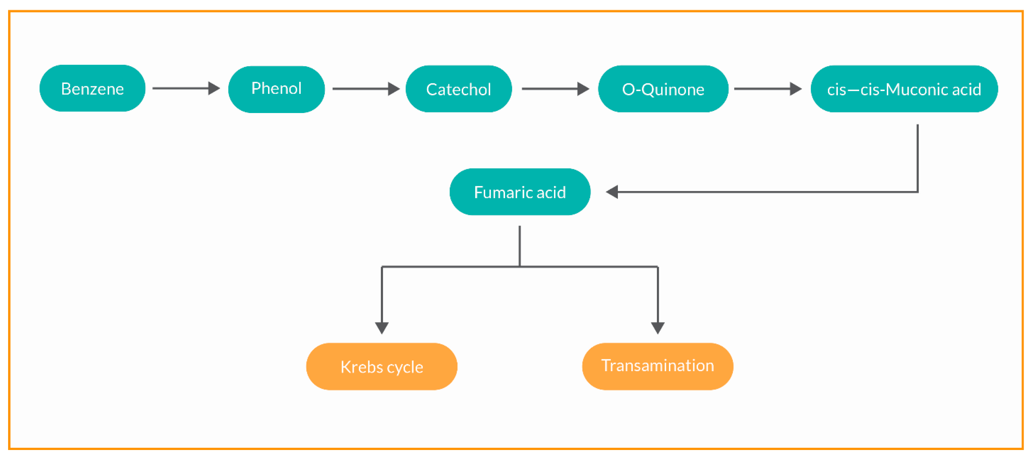 Preprints 138701 i005