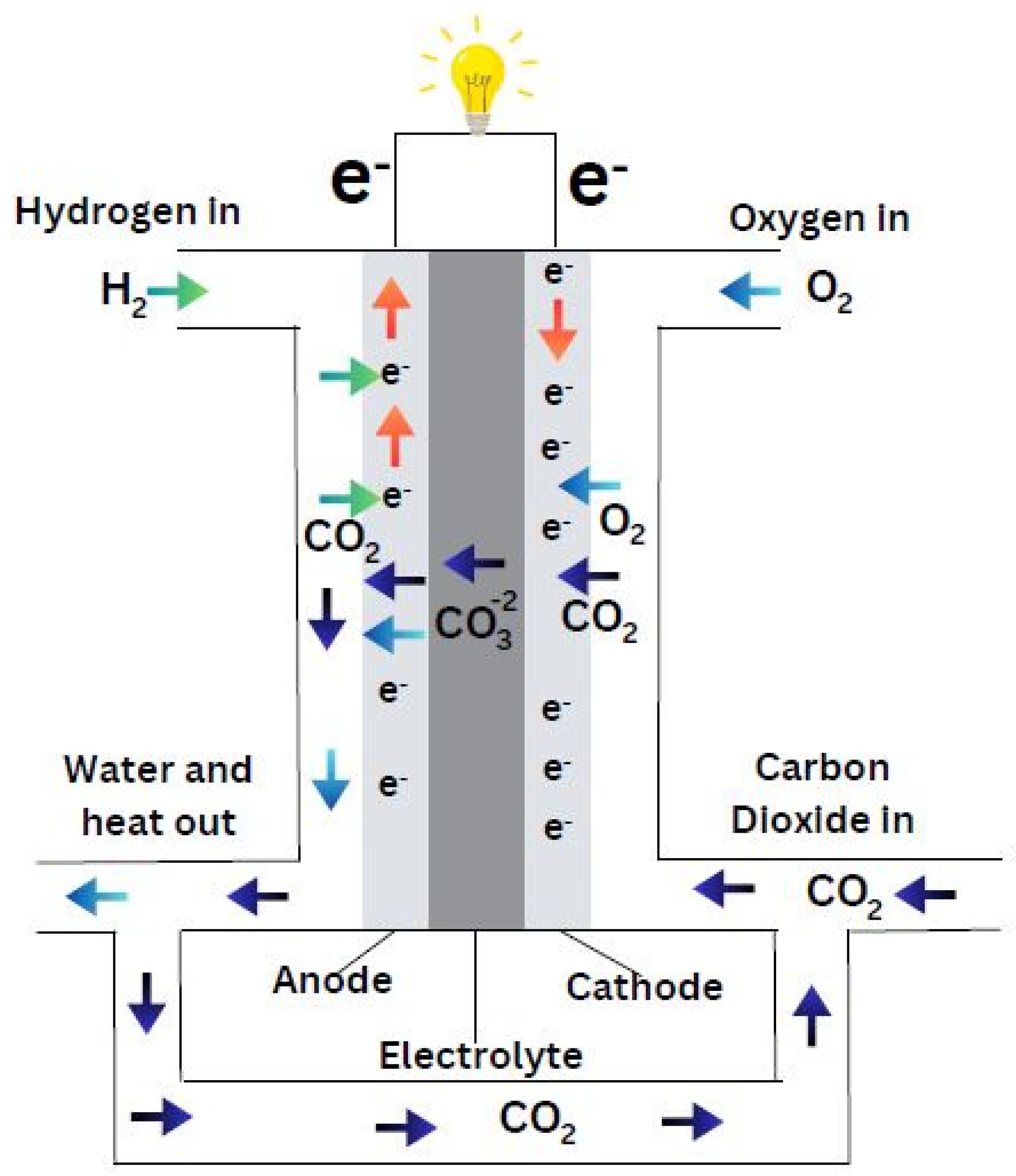 Preprints 150180 g018