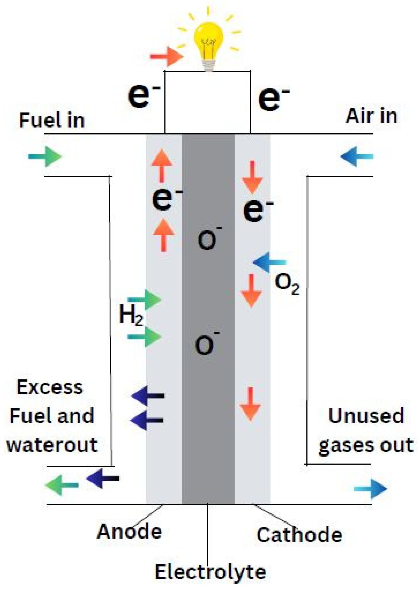 Preprints 150180 g020