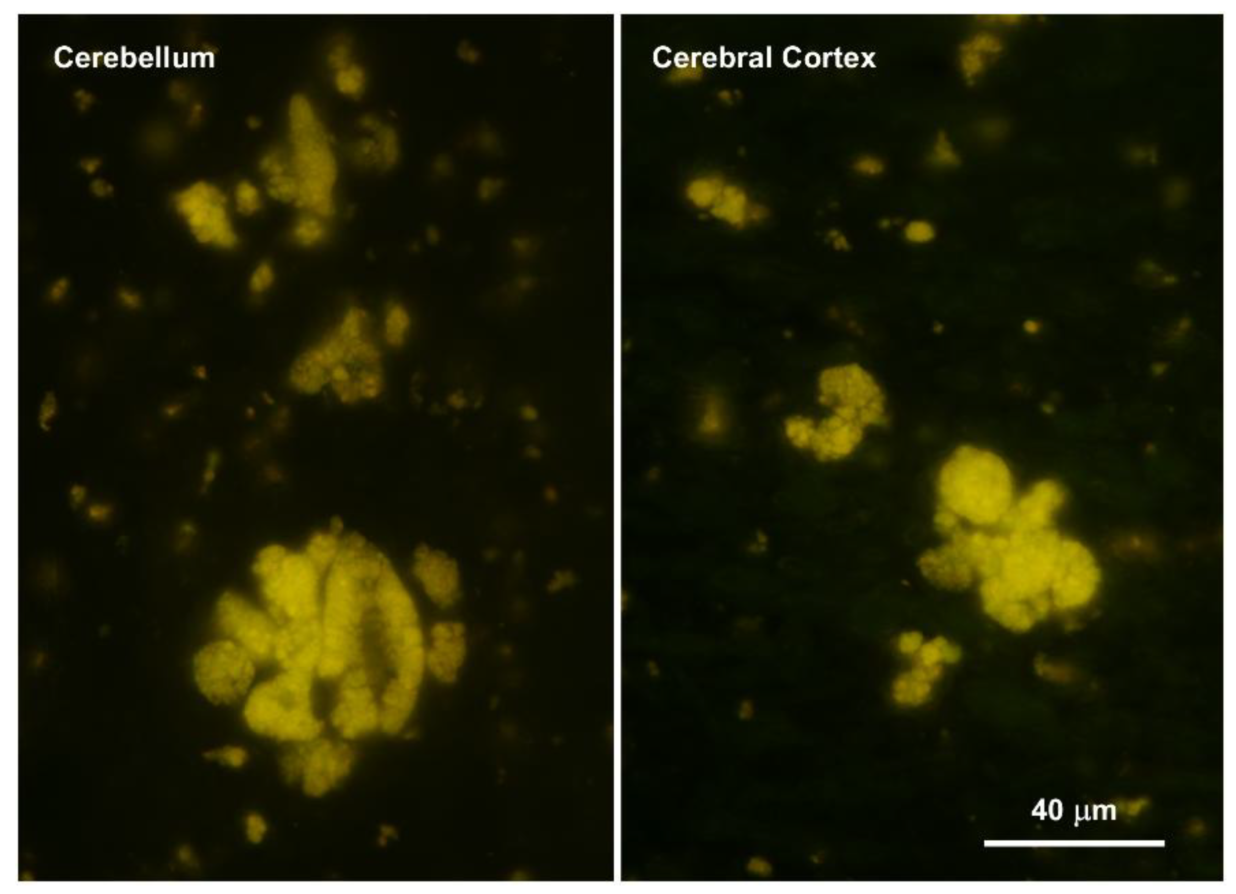 Preprints 206028 g004