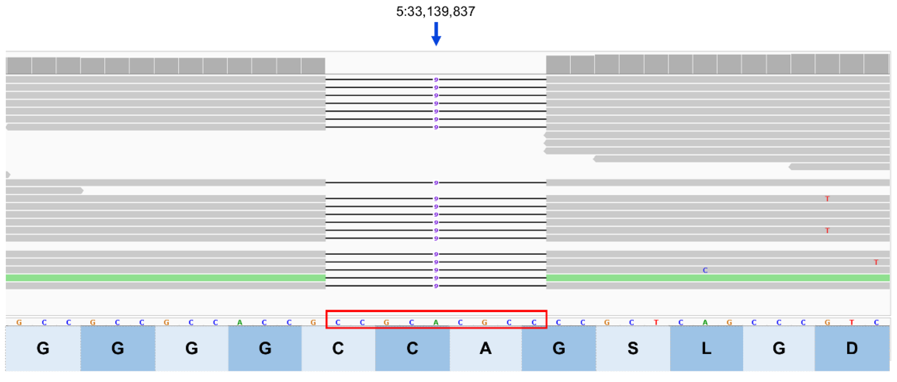 Preprints 206028 g011