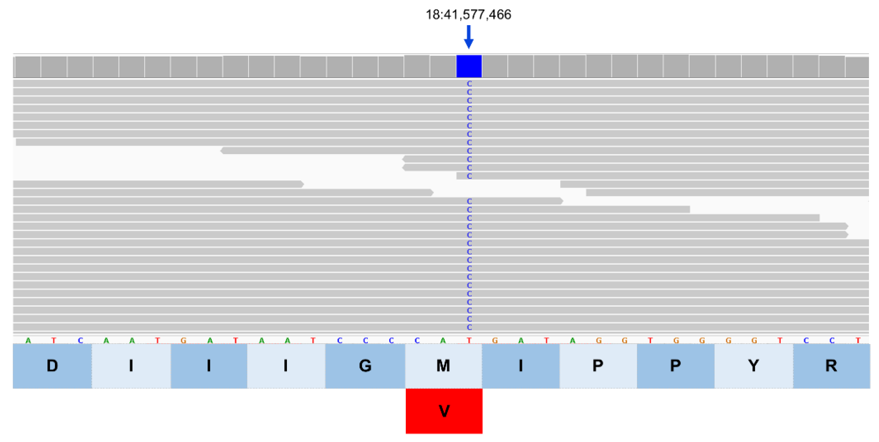 Preprints 206028 g012
