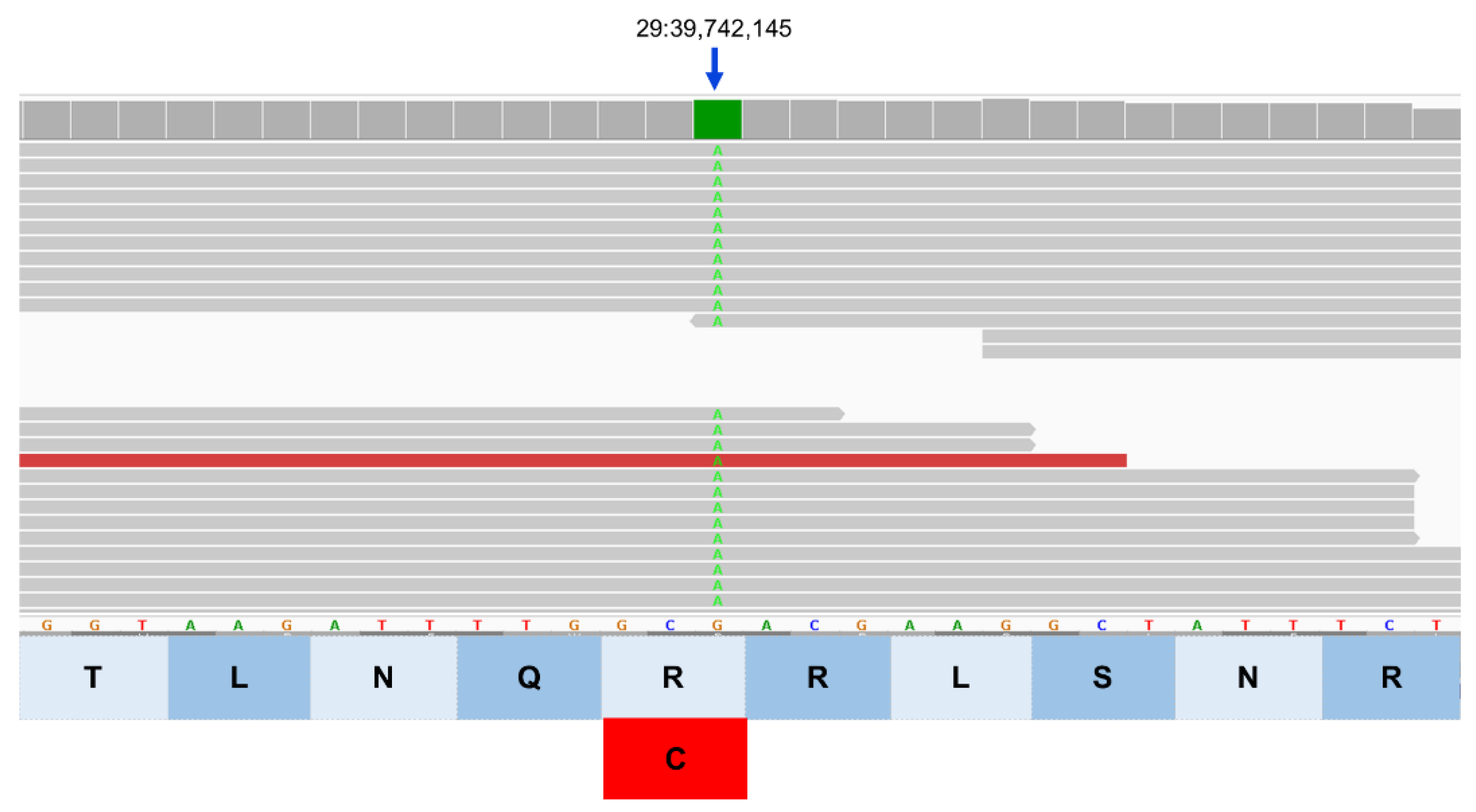 Preprints 206028 g013