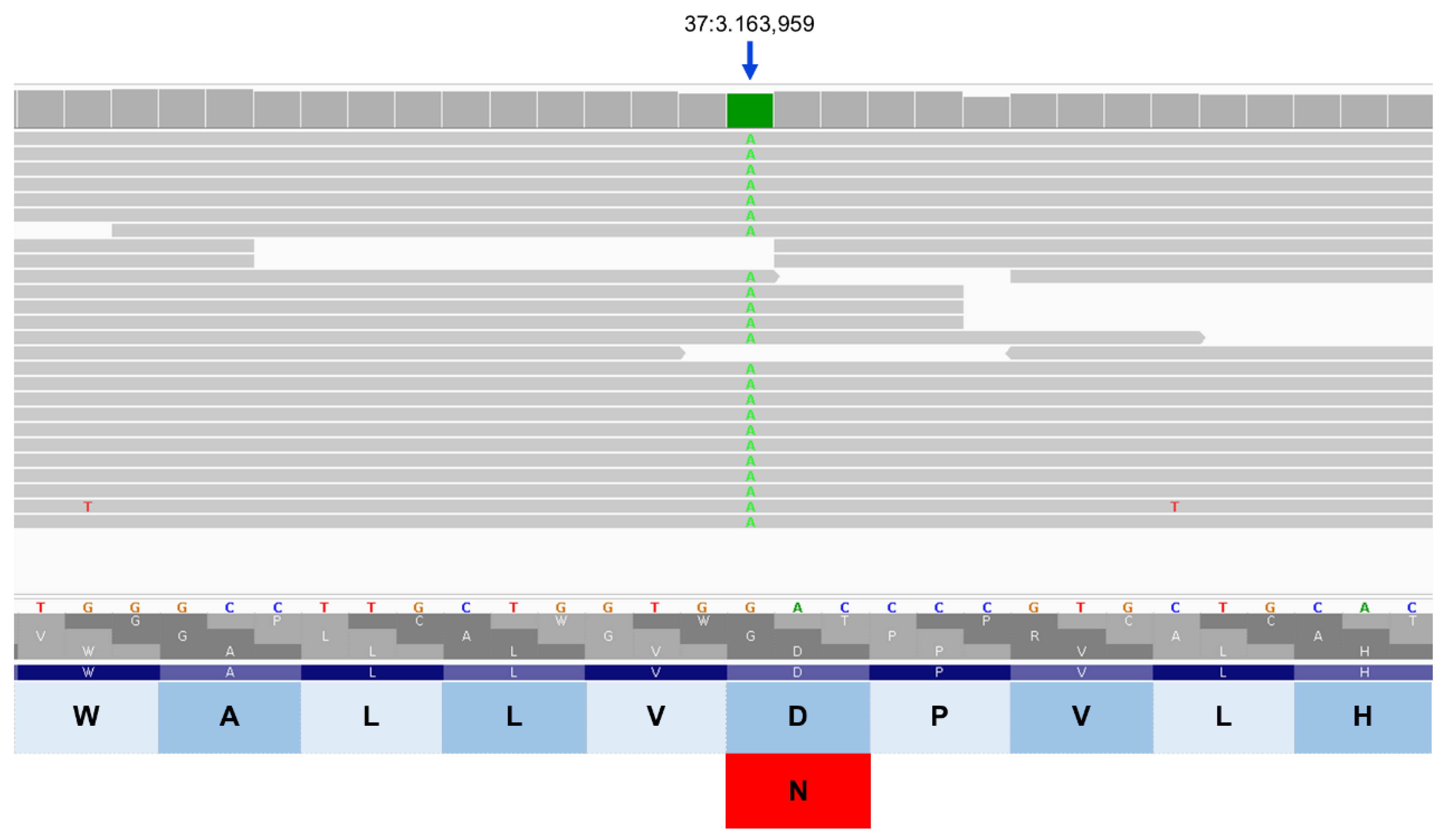 Preprints 206028 g014