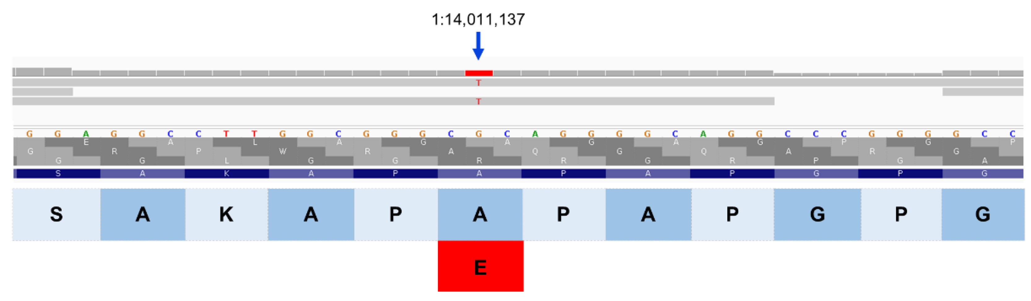 Preprints 206028 g015