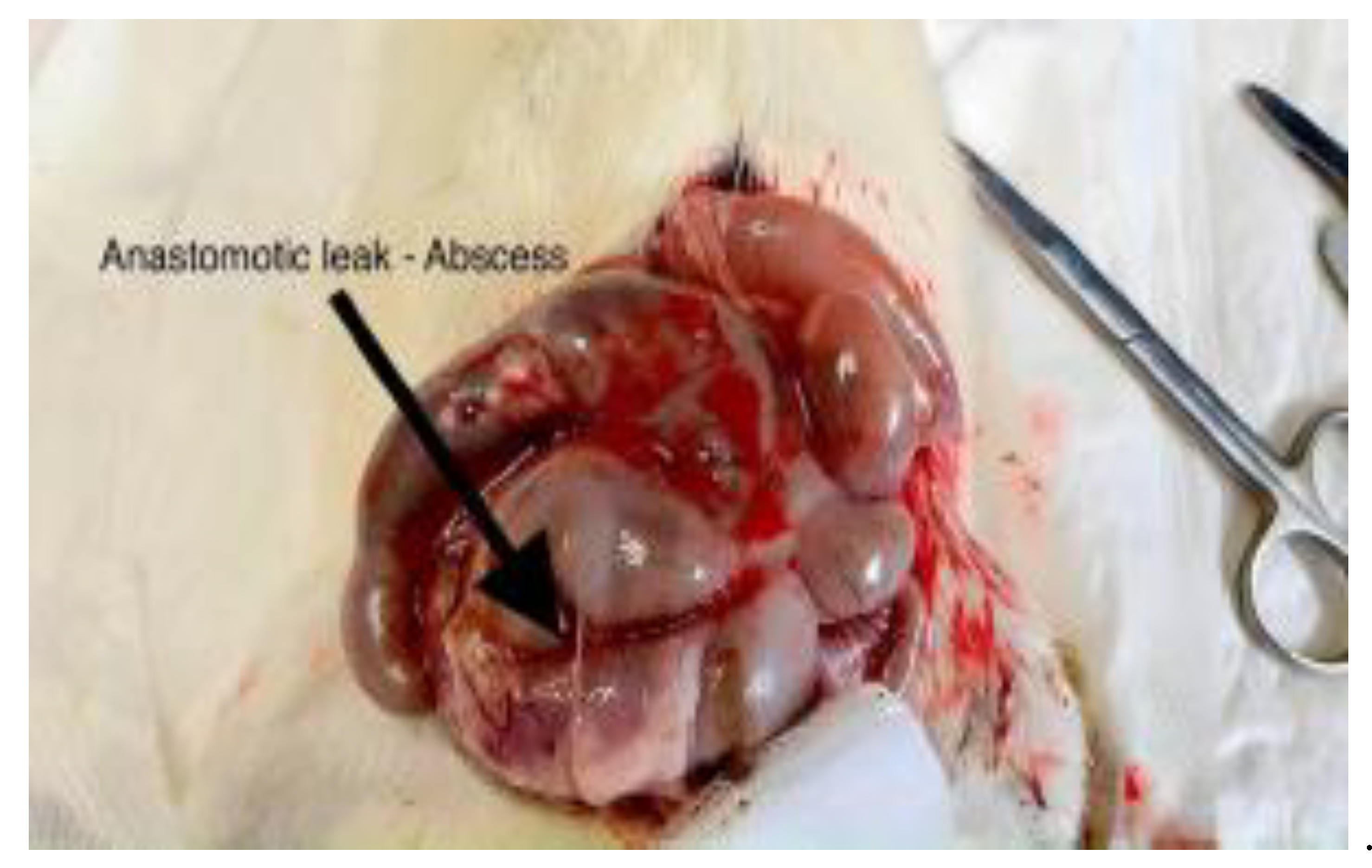 Preprints 189211 g006