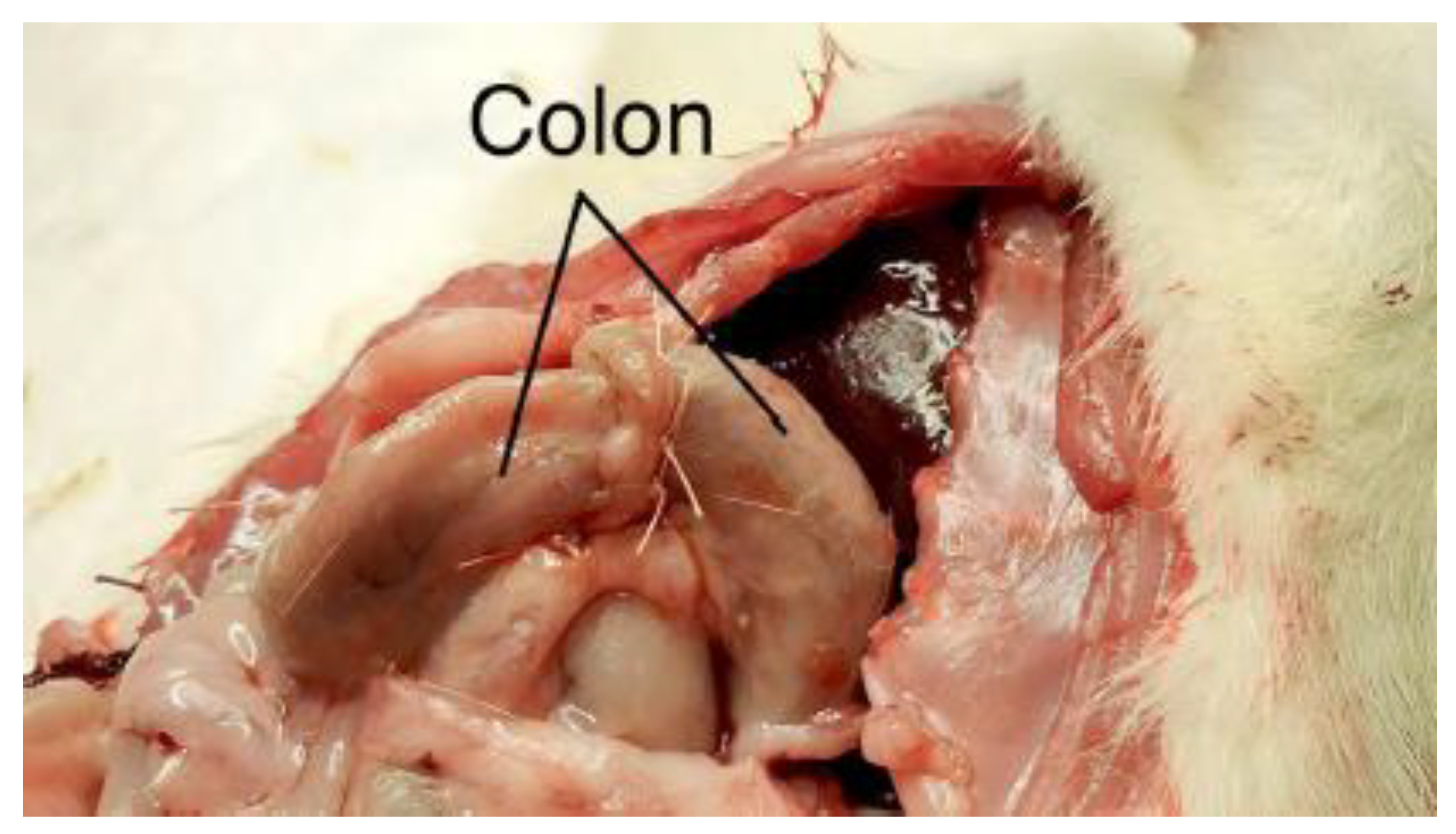 Preprints 189211 g008