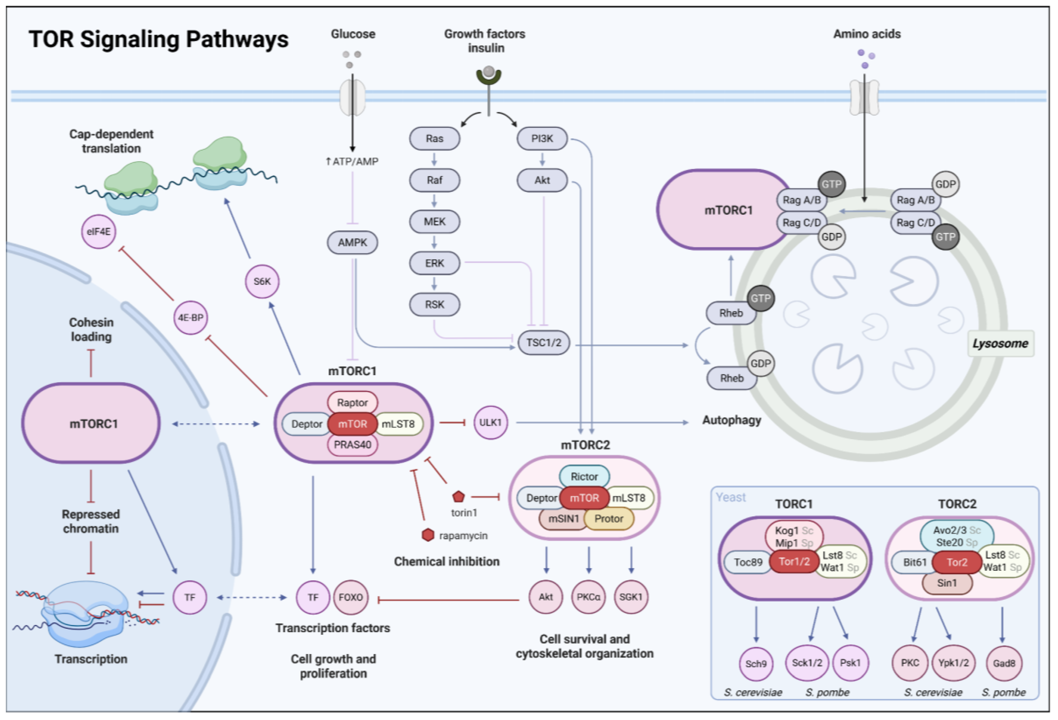 Preprints 192127 g001