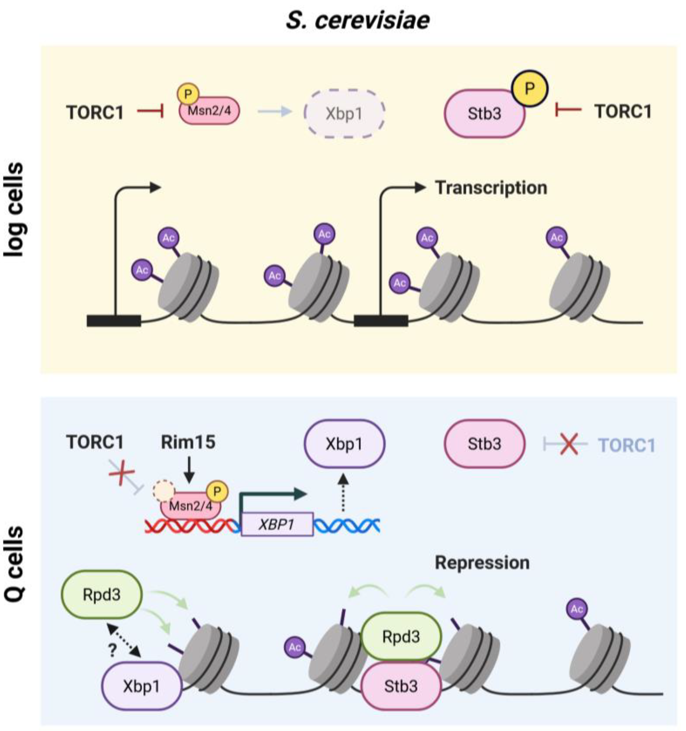 Preprints 192127 g002