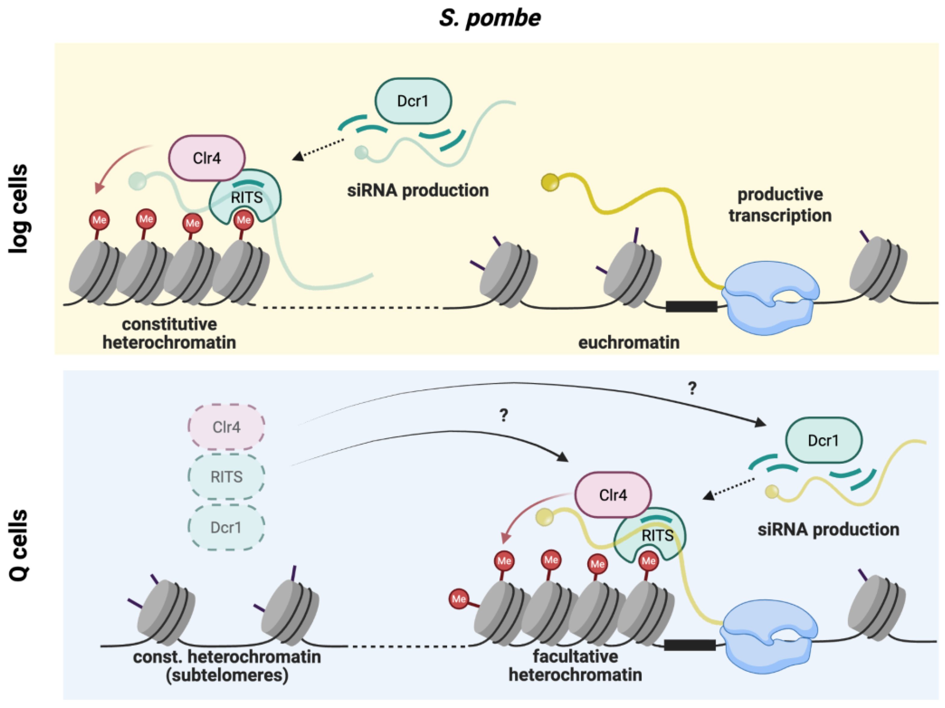 Preprints 192127 g003