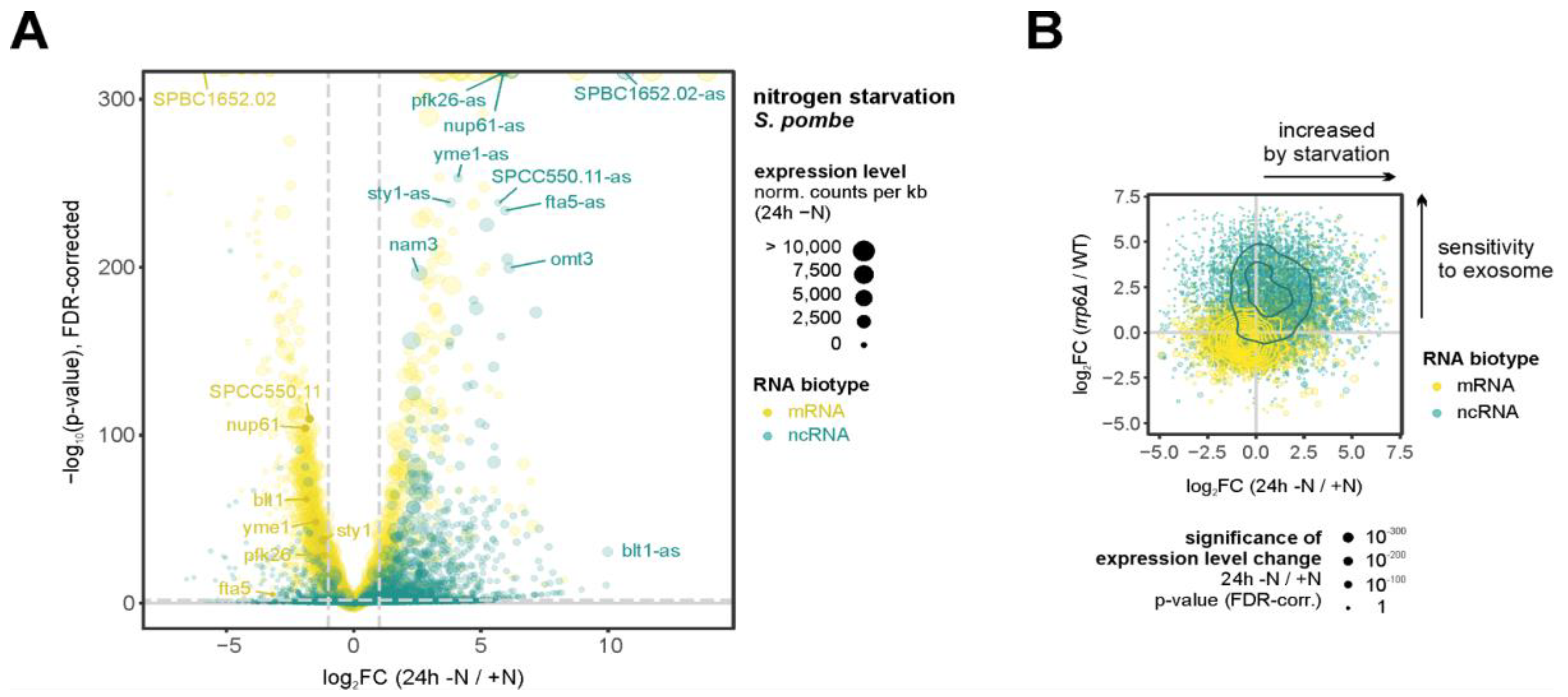 Preprints 192127 g005