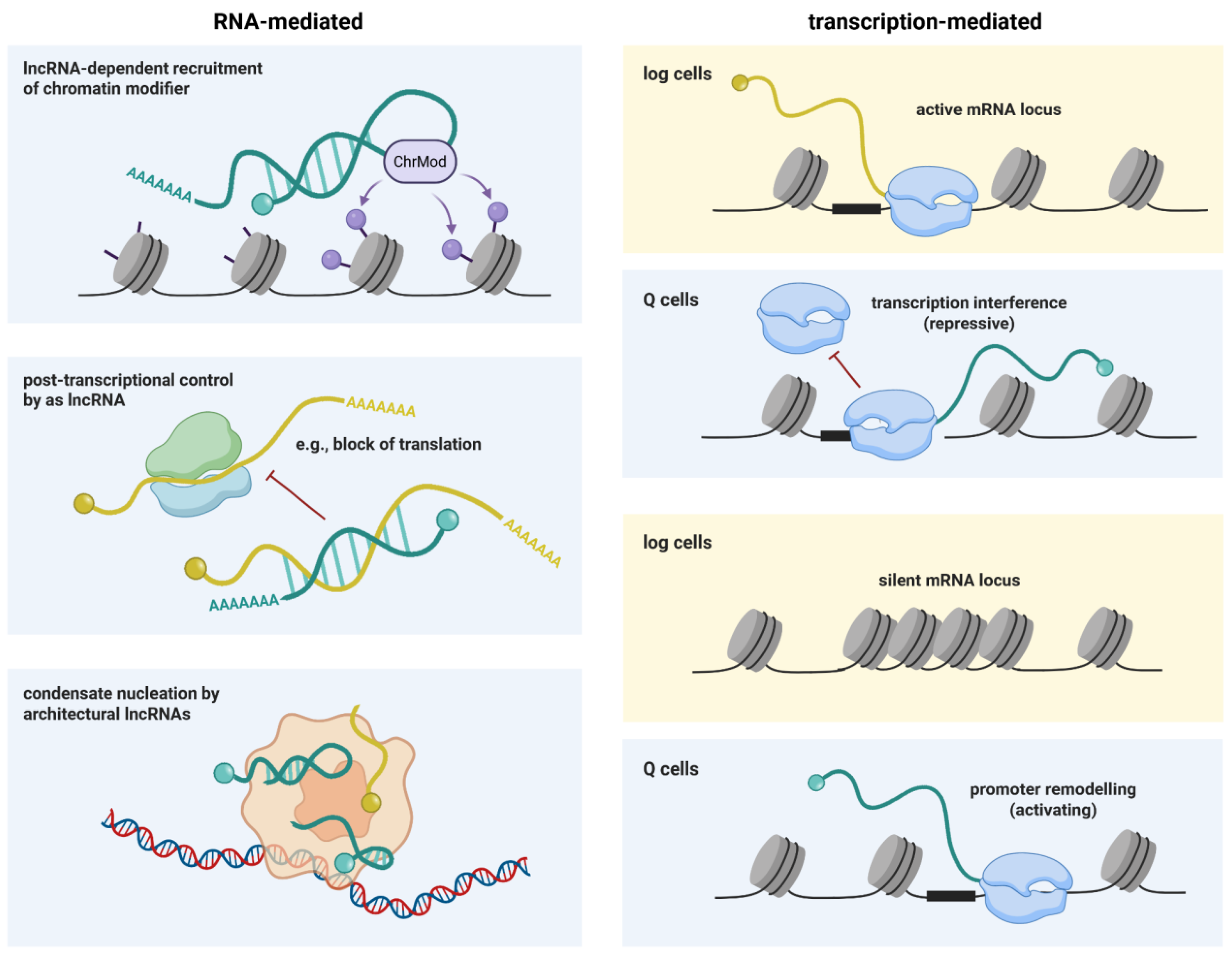 Preprints 192127 g006