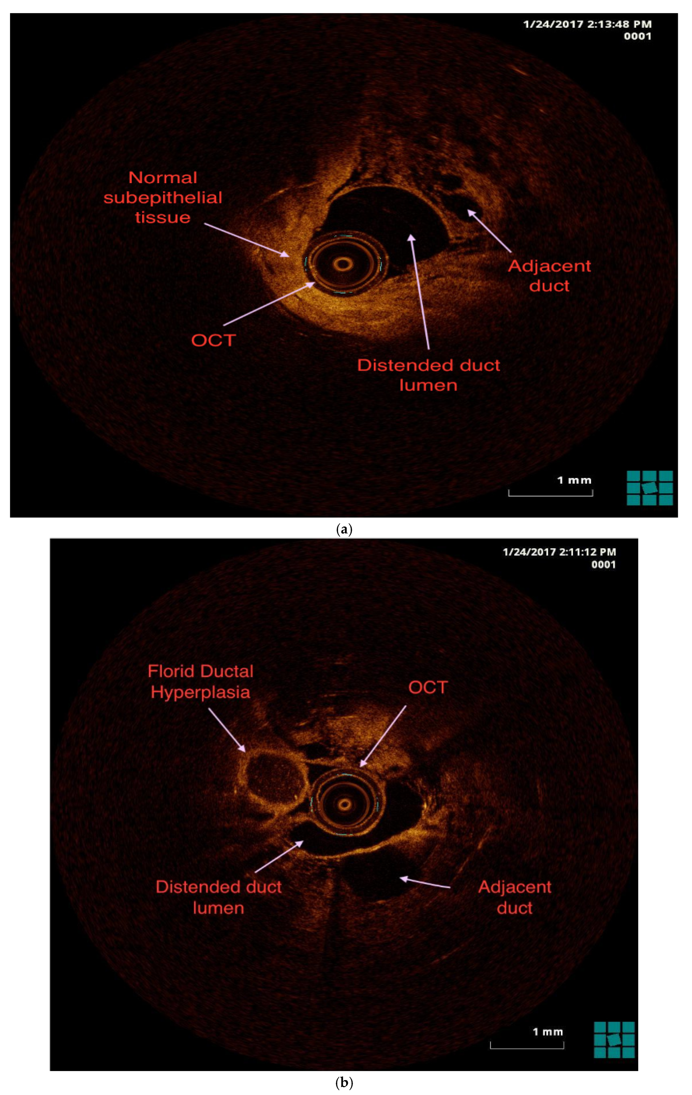 Preprints 191043 g001a