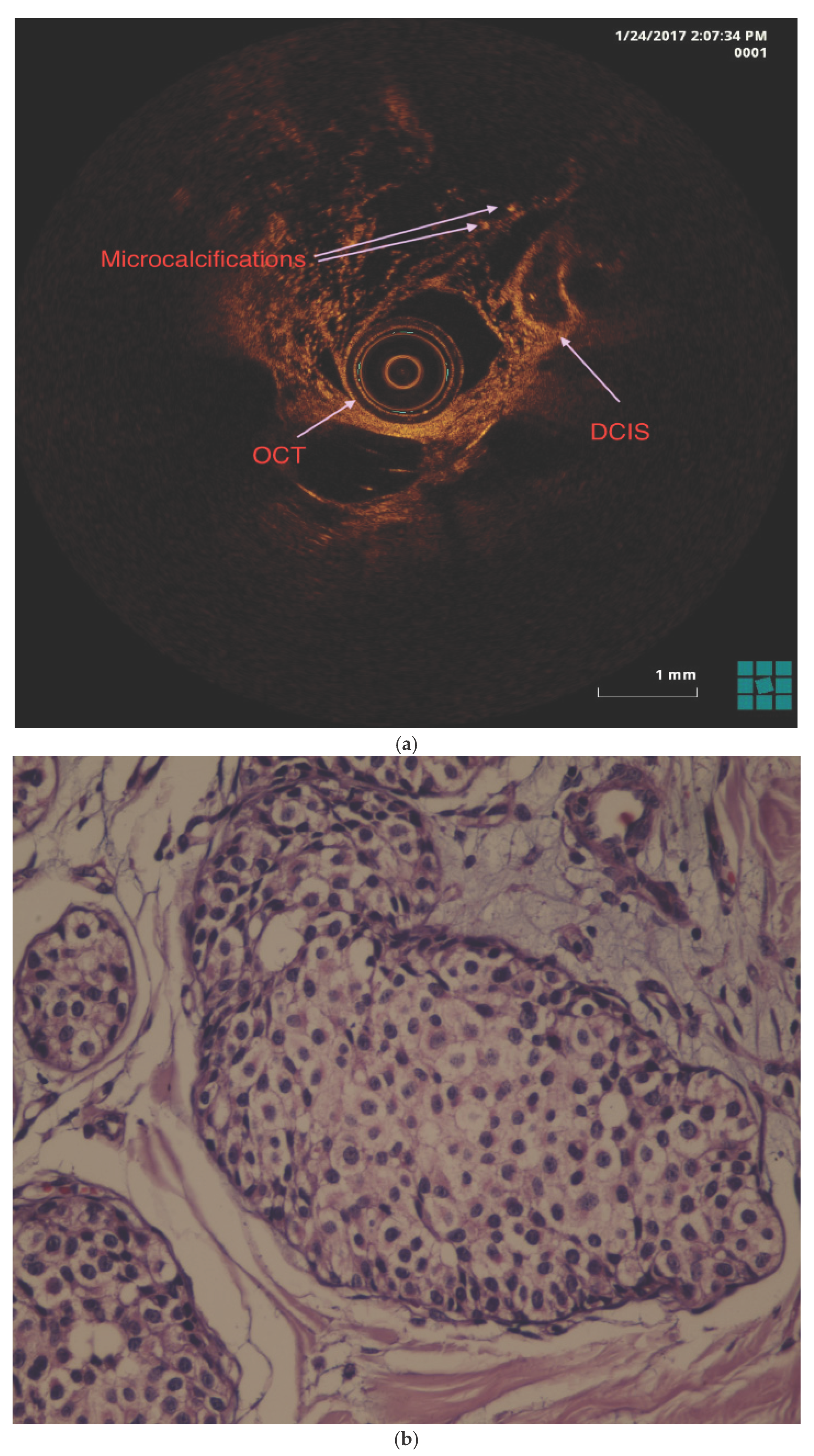Preprints 191043 g002