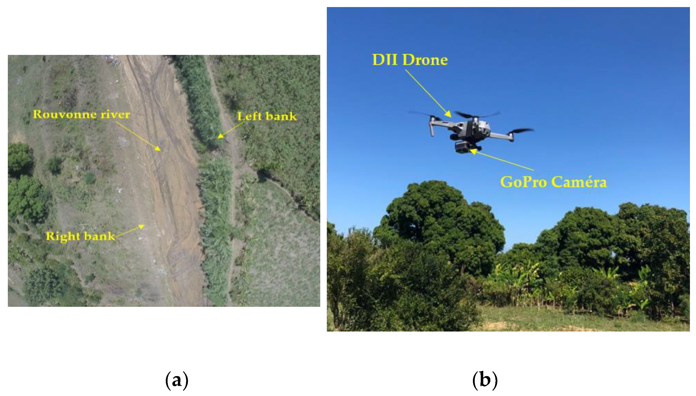 Preprints 113018 g003