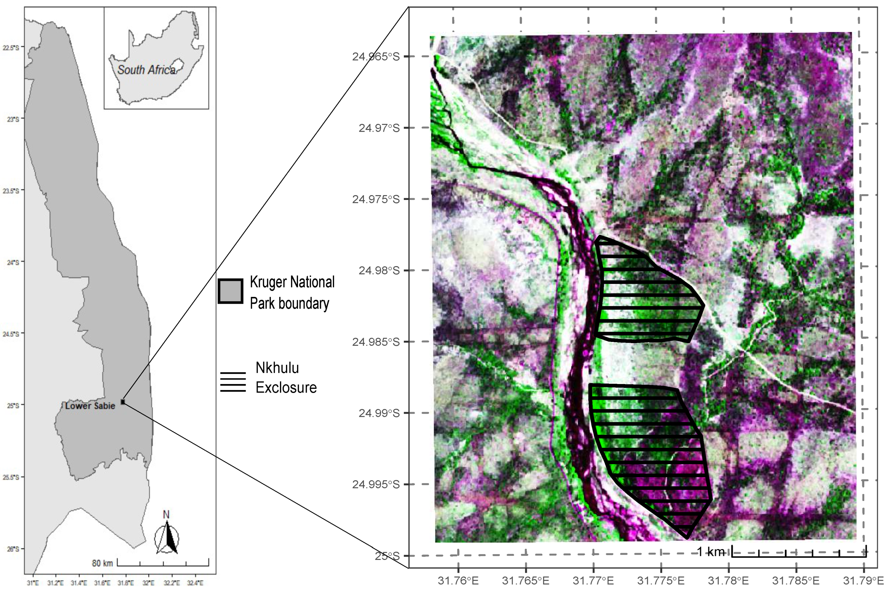 Preprints 144335 g001