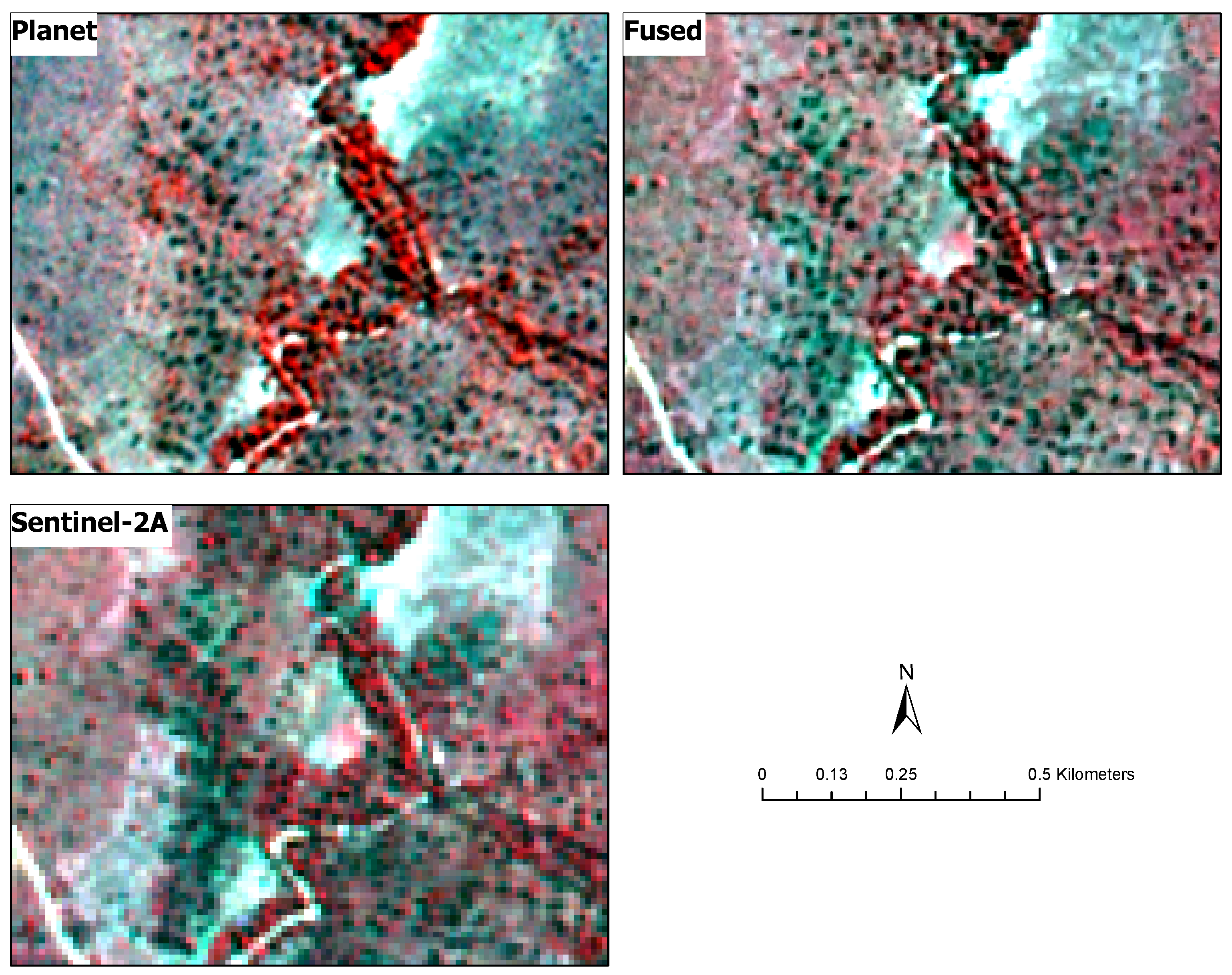 Preprints 144335 g003
