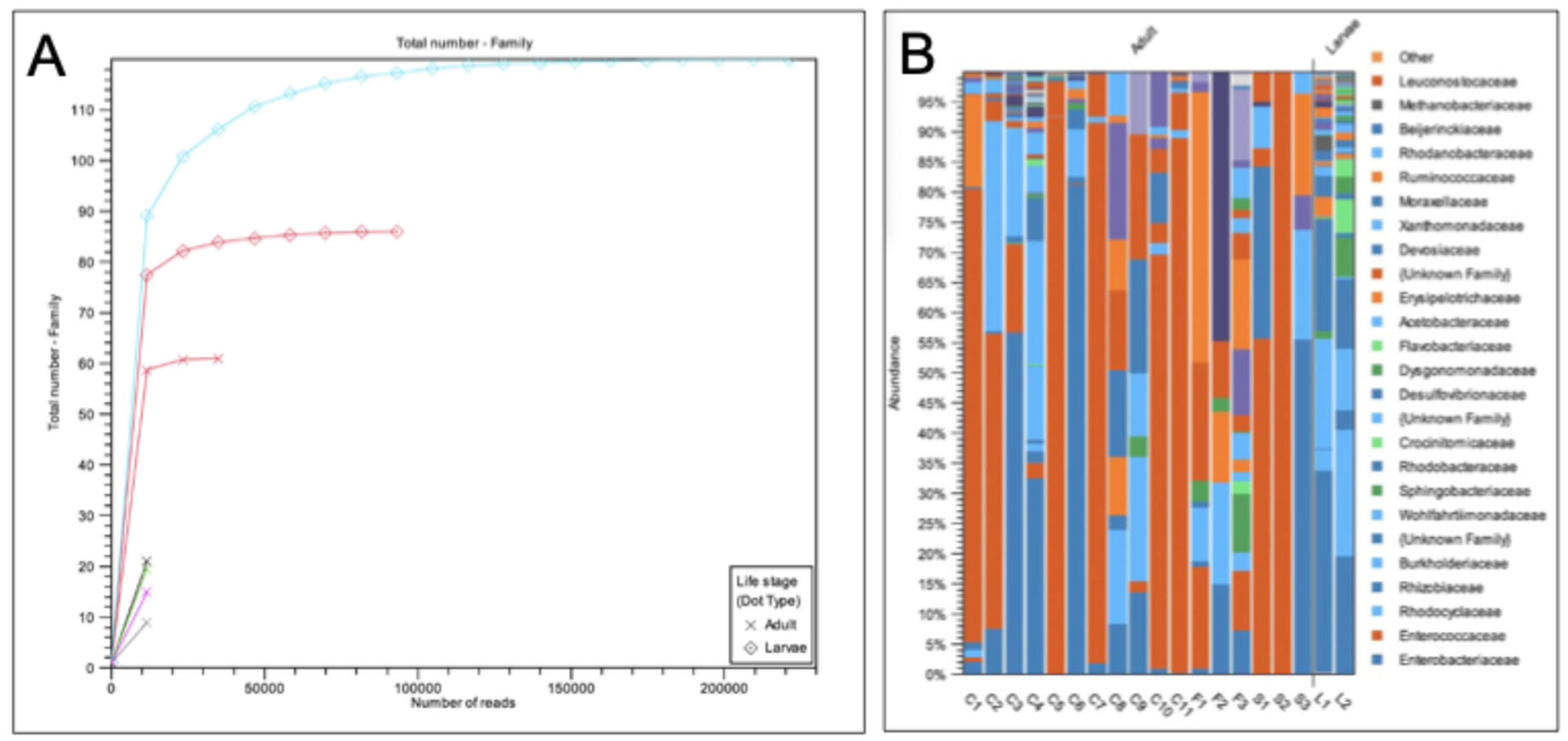 Preprints 188948 g004