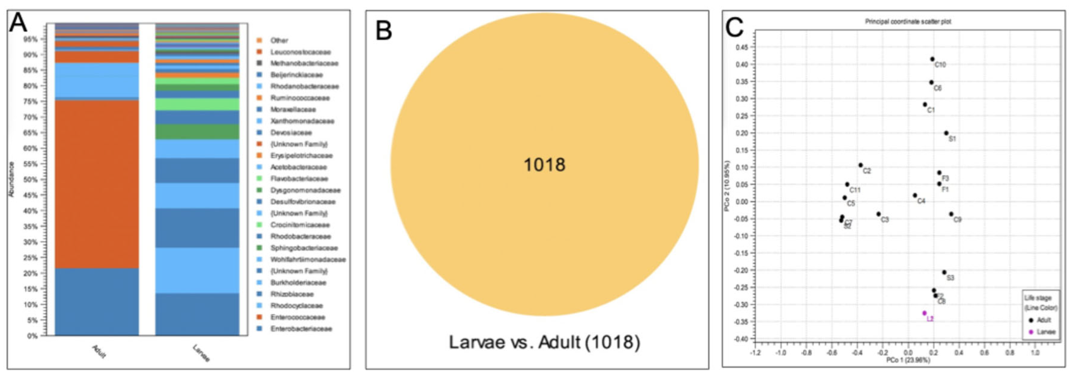 Preprints 188948 g005