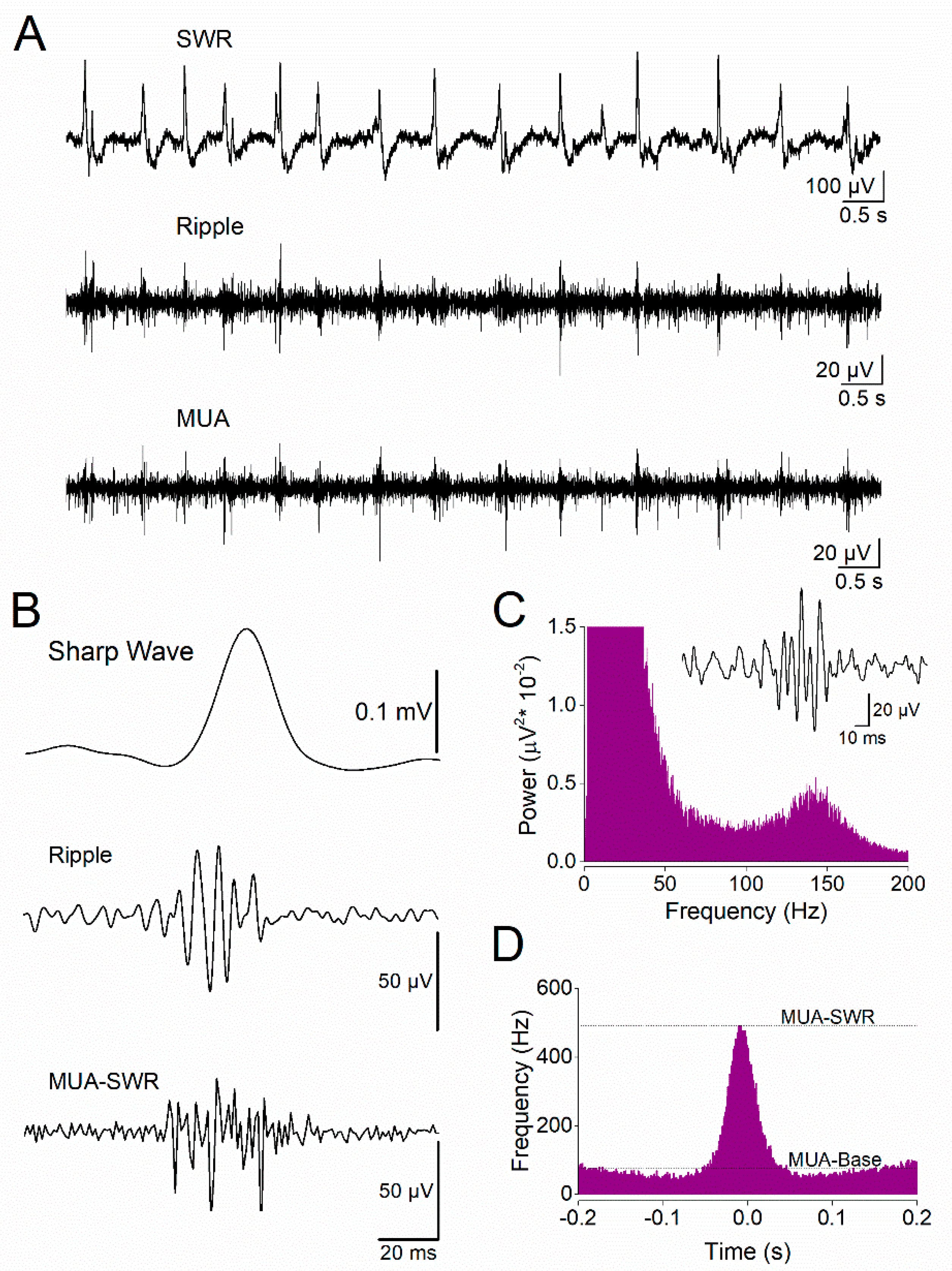 Preprints 200342 g001