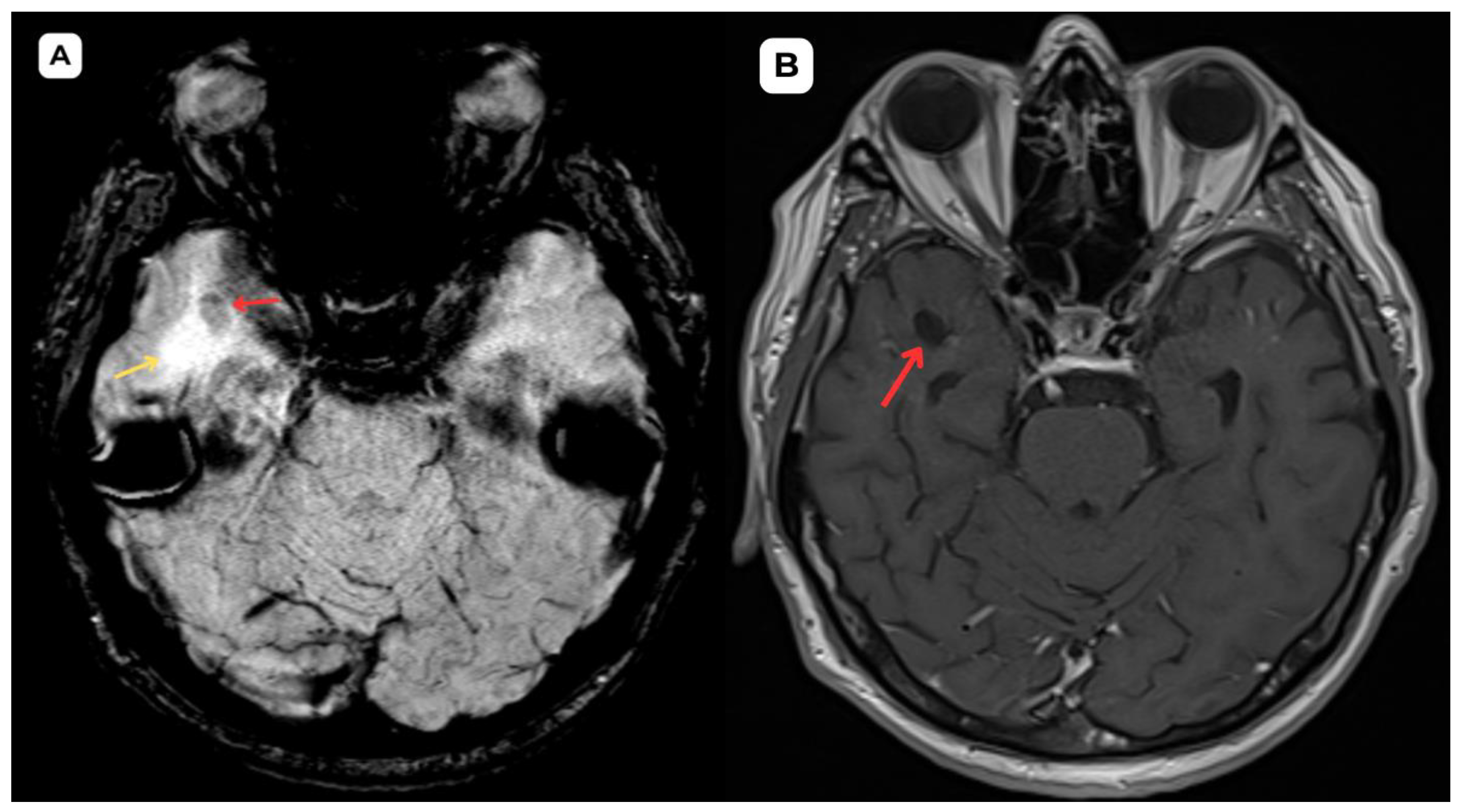 Preprints 161957 g002