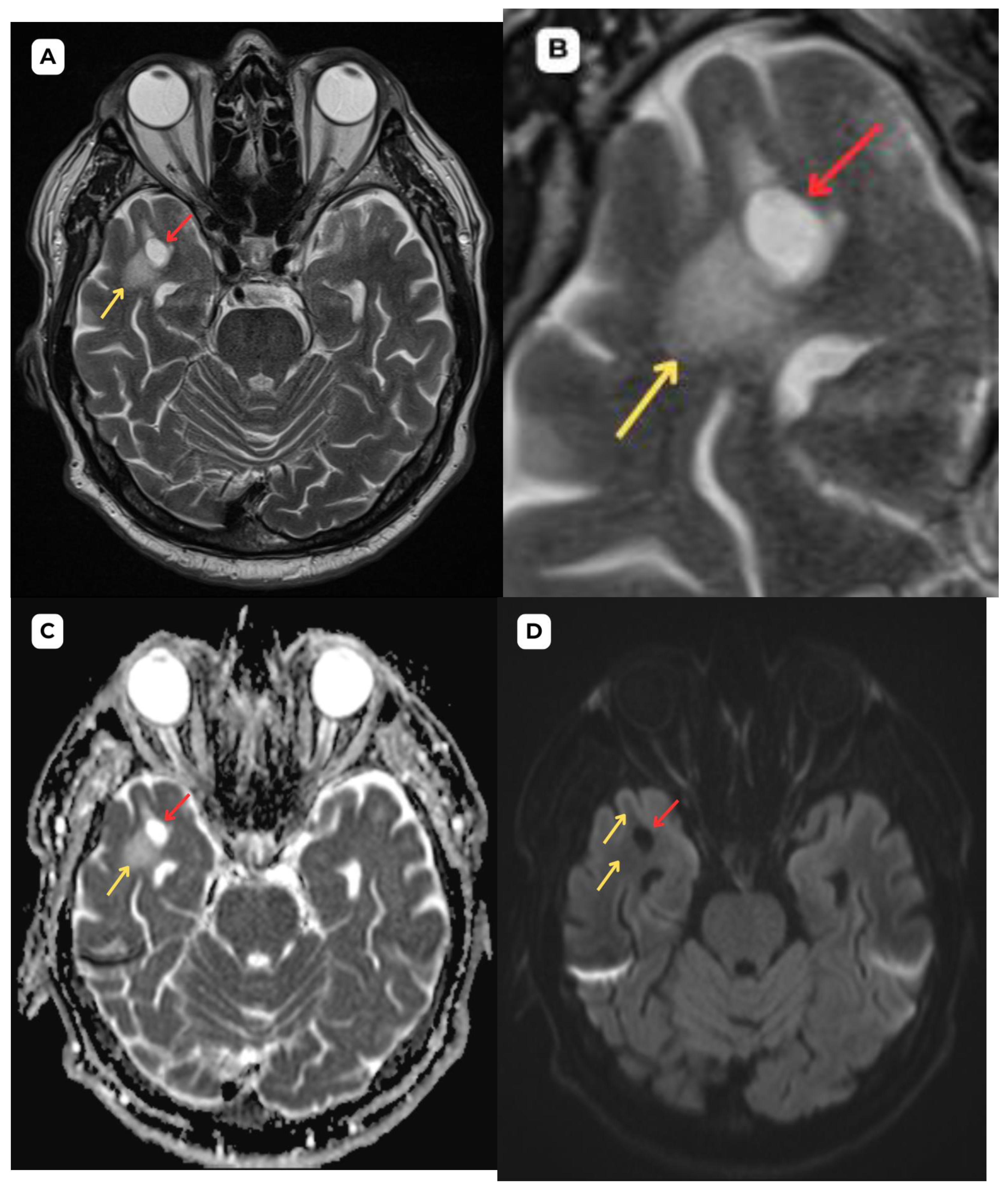 Preprints 161957 g003