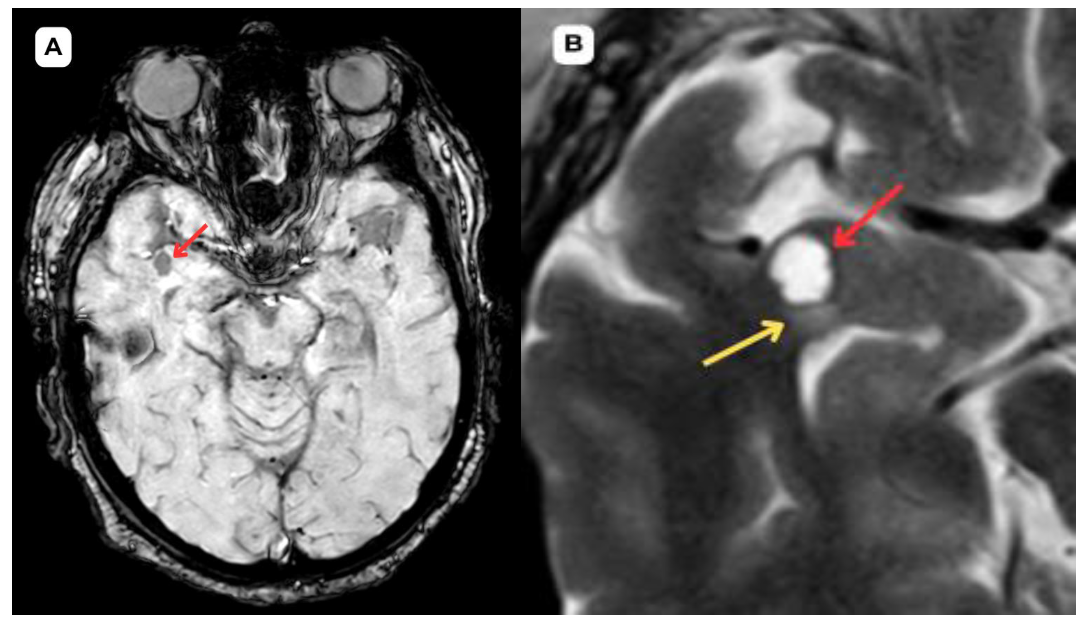 Preprints 161957 g005
