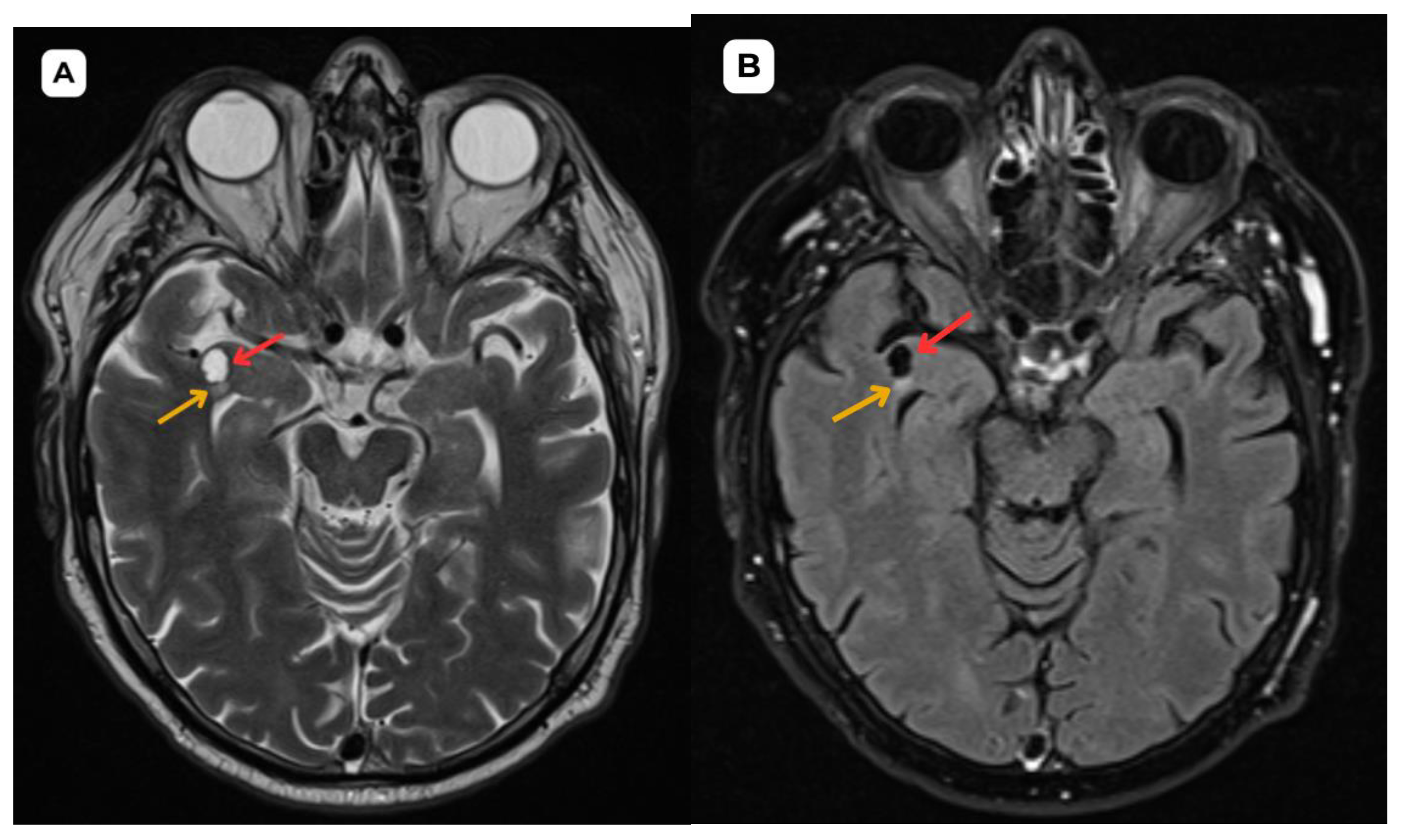 Preprints 161957 g006