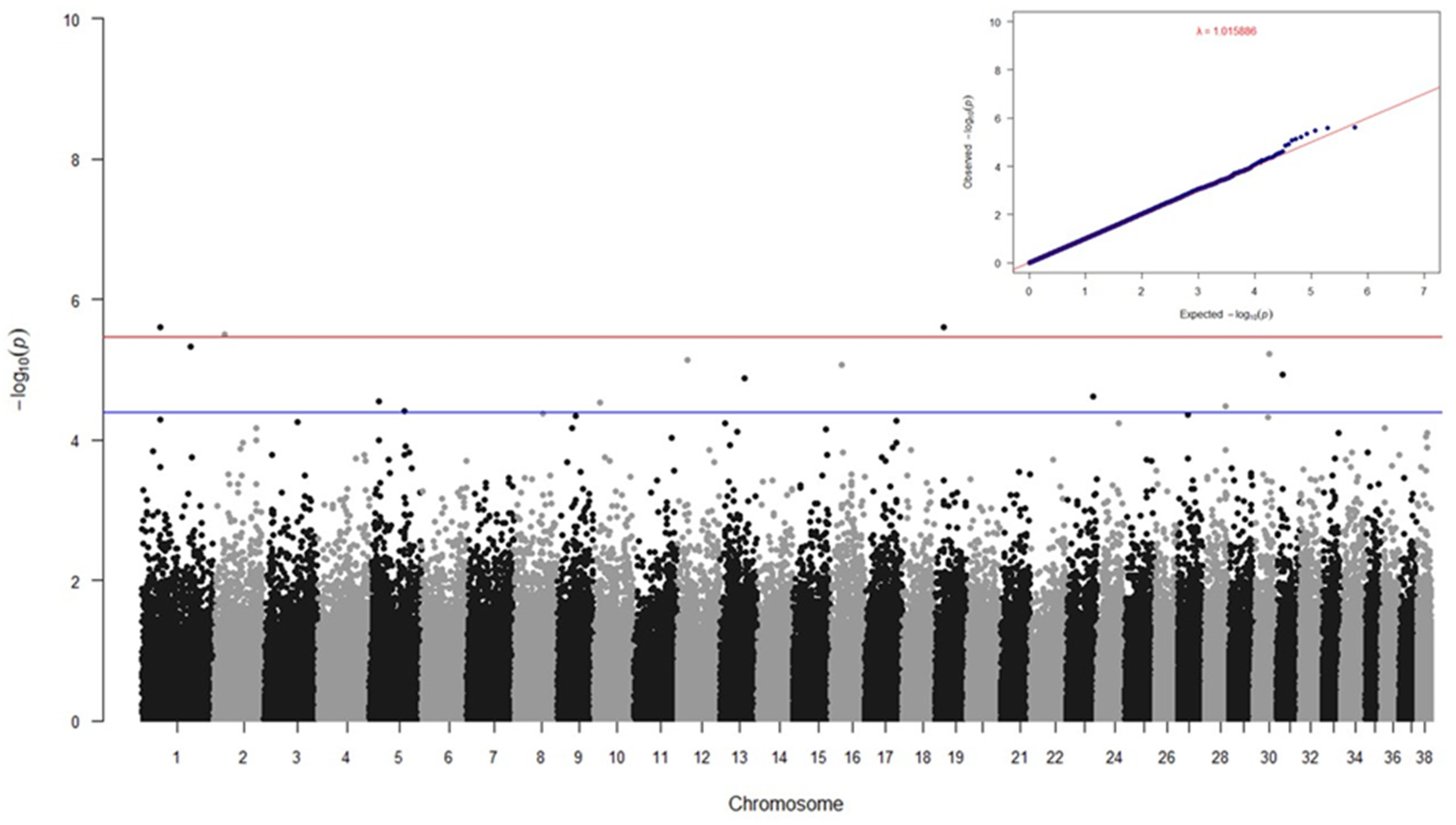 Preprints 140574 g001