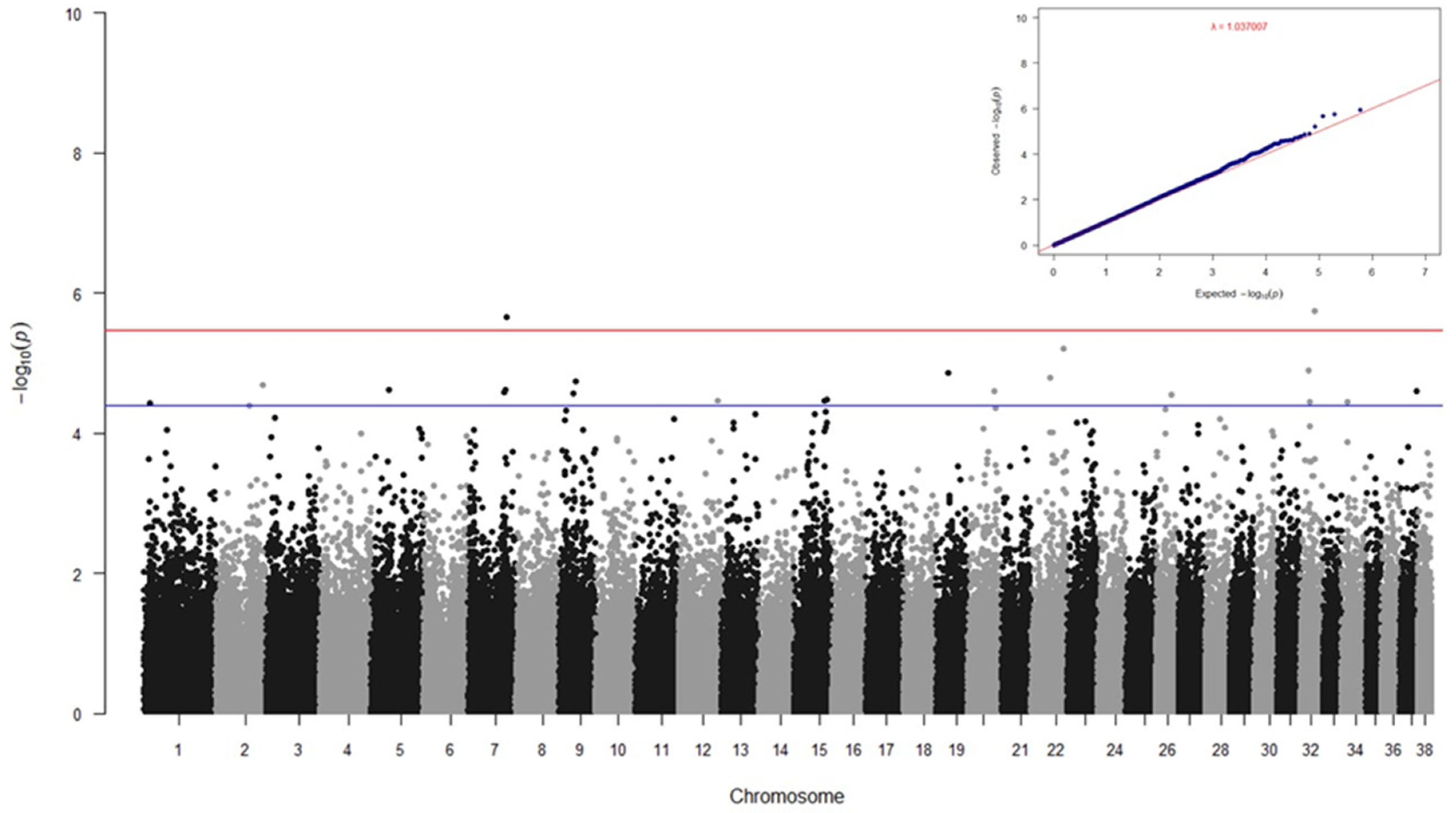 Preprints 140574 g003