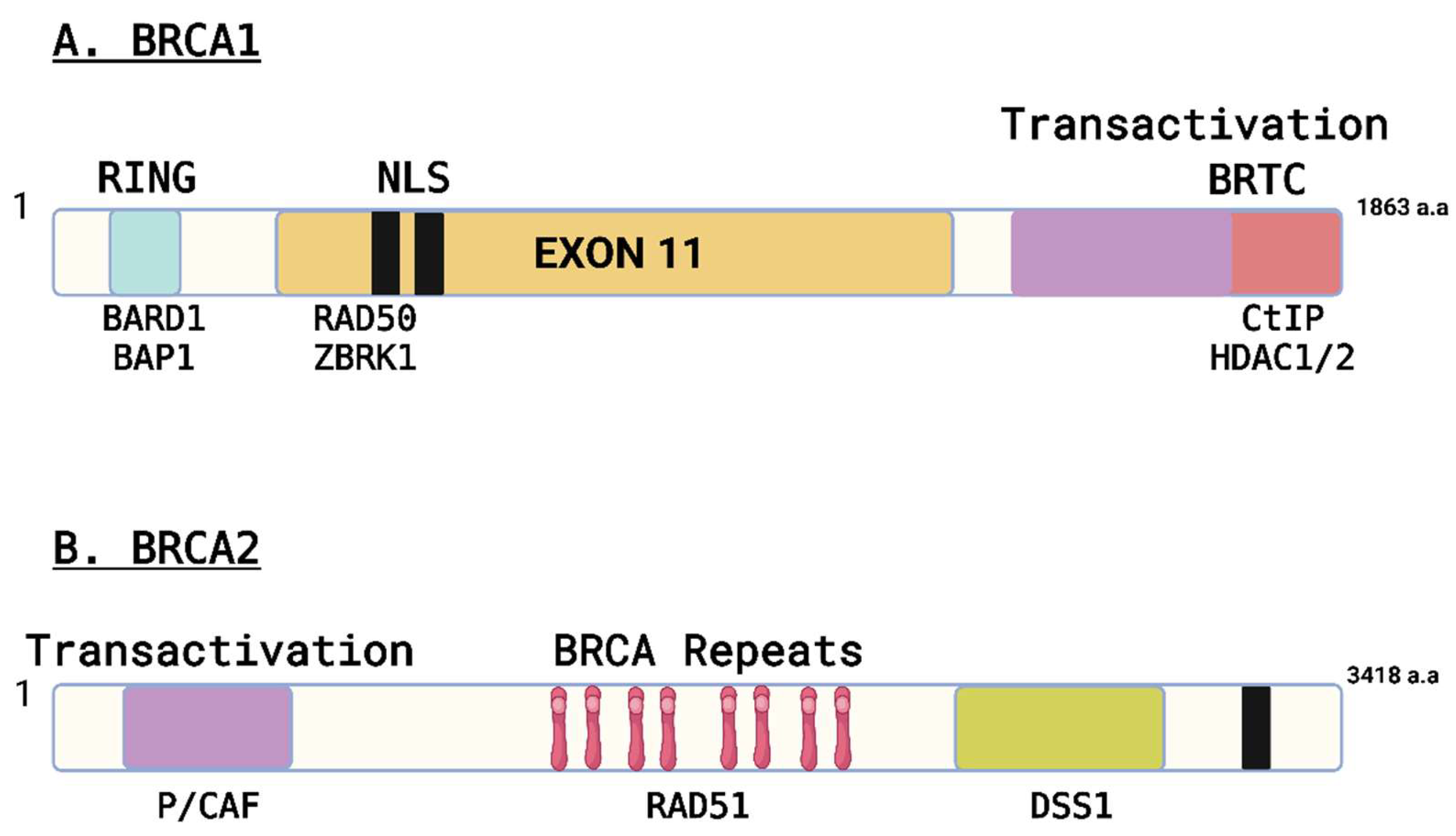 Preprints 146602 g001