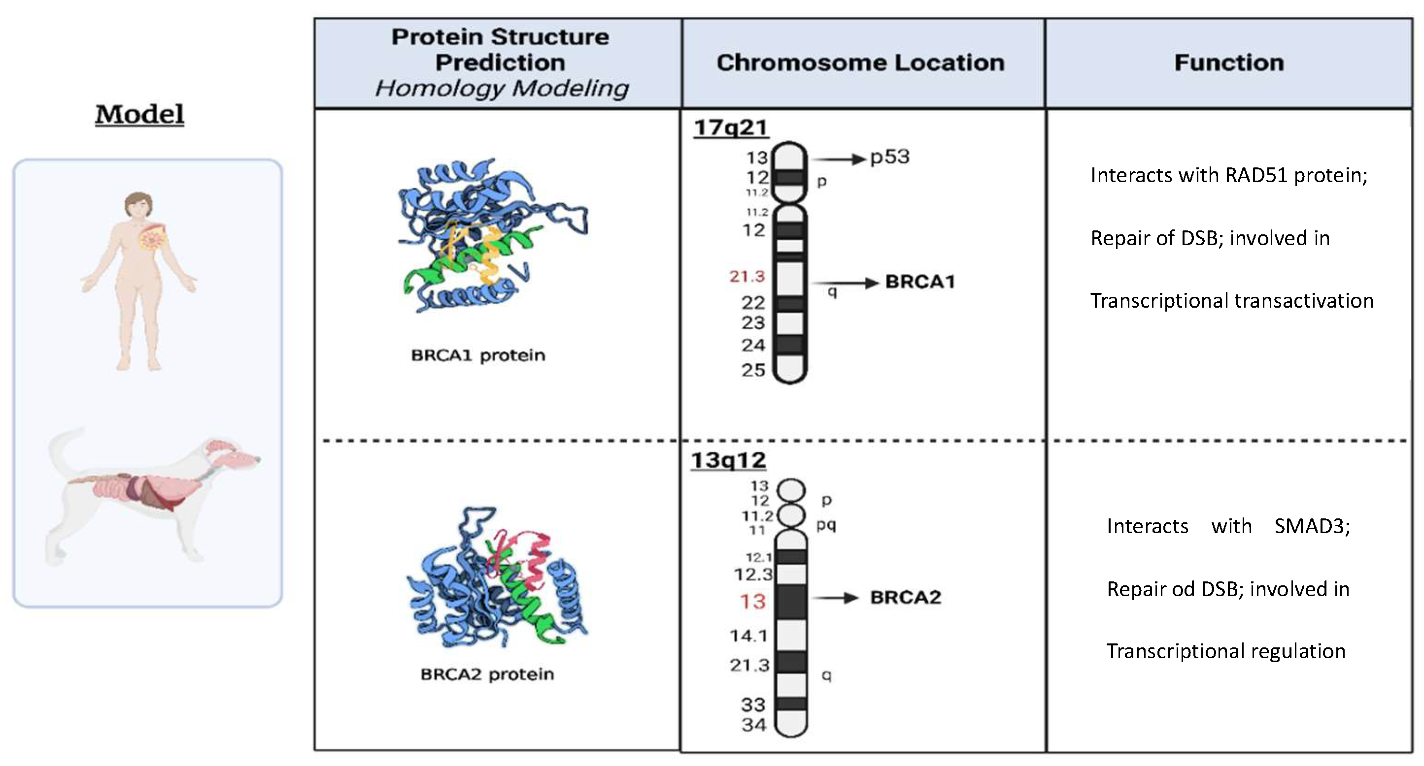 Preprints 146602 g002