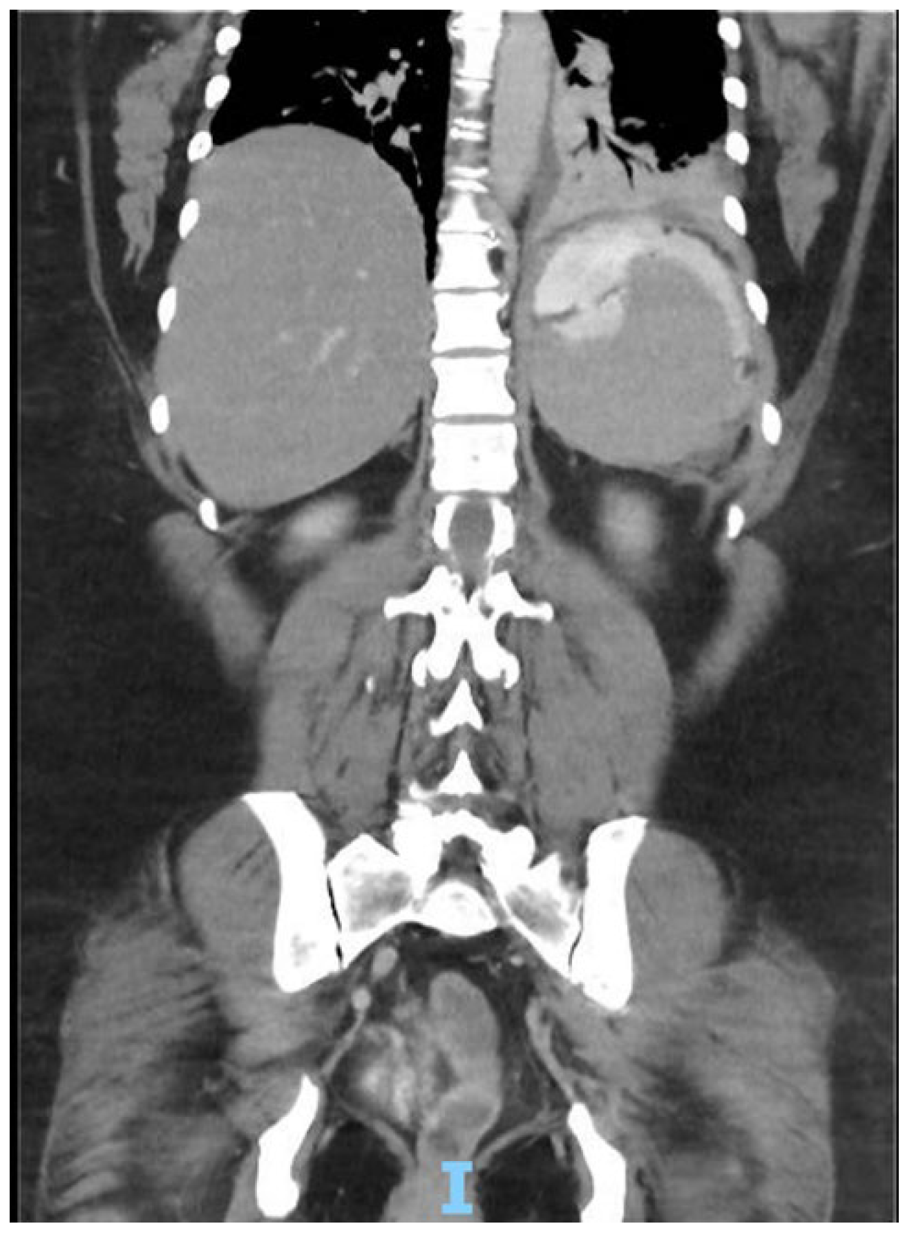 Preprints 115888 g001