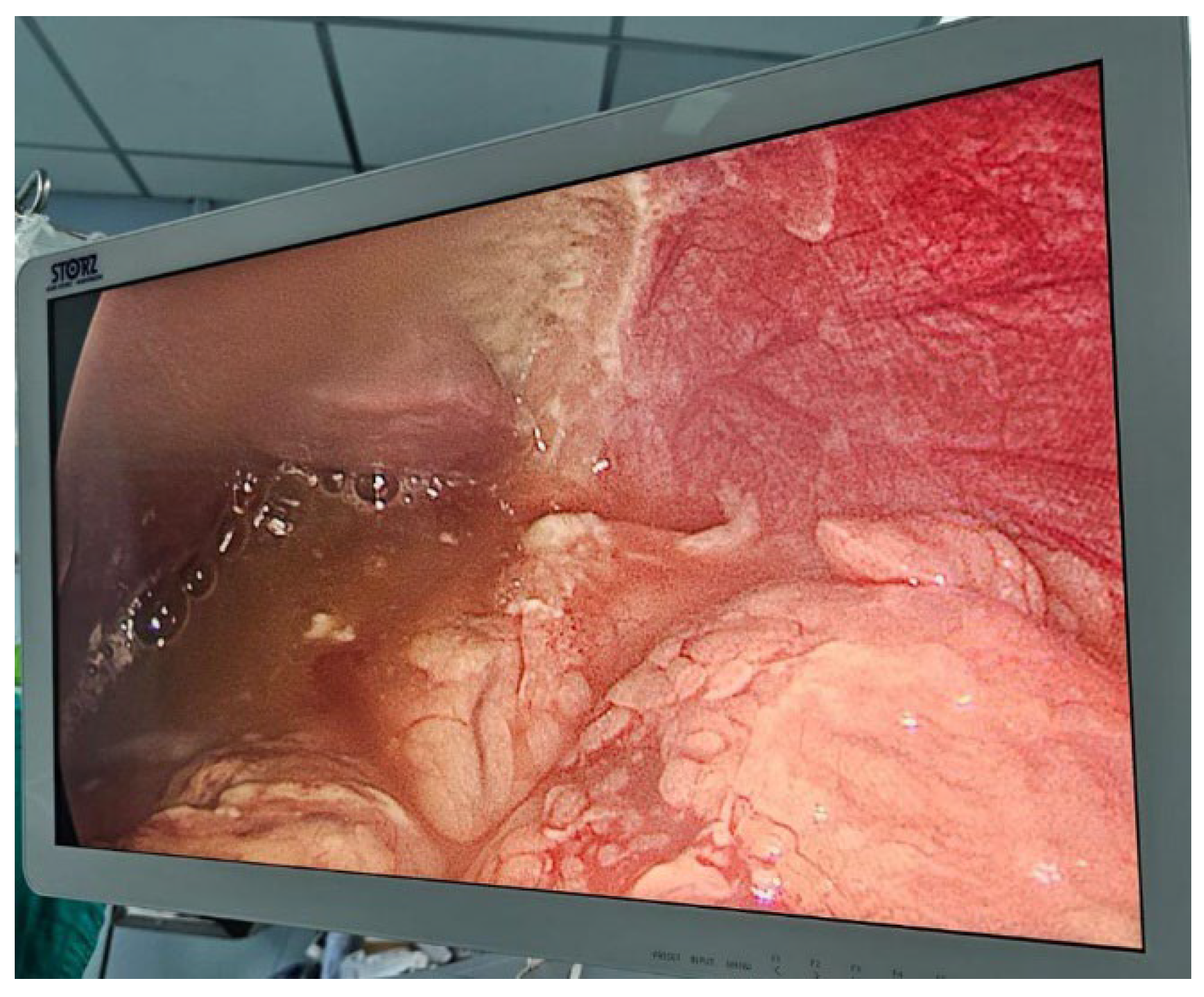 Preprints 115888 g002