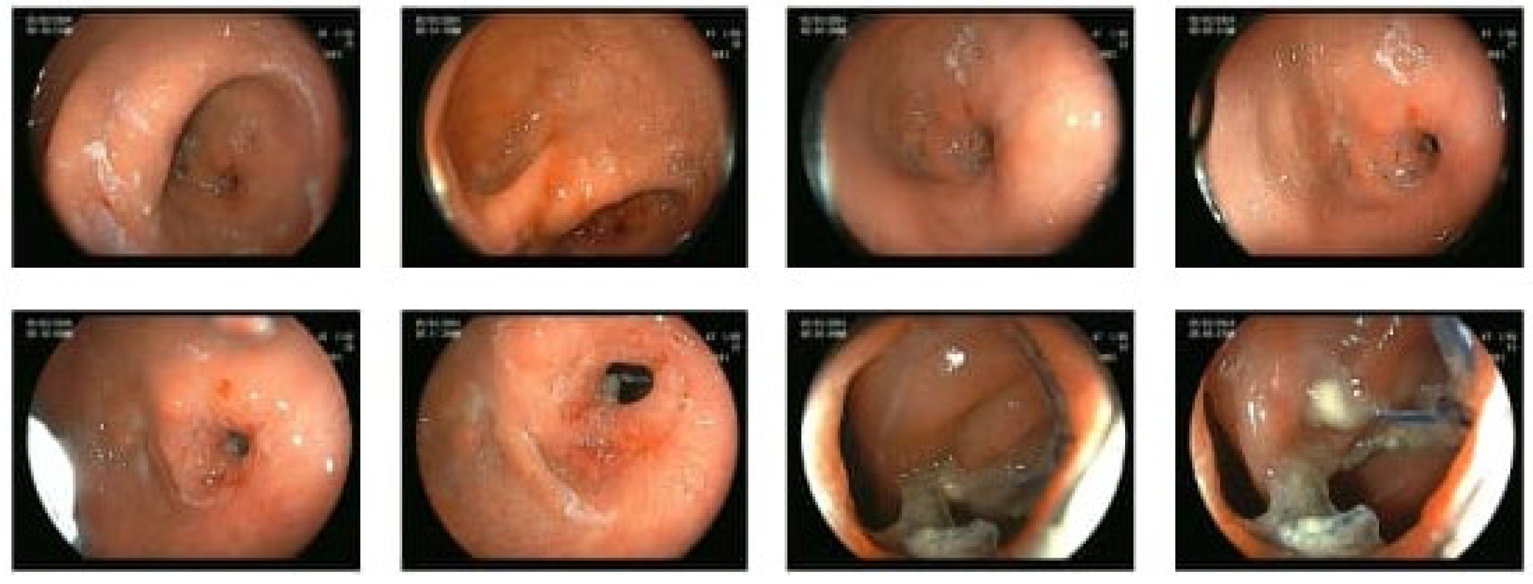 Preprints 115888 g008