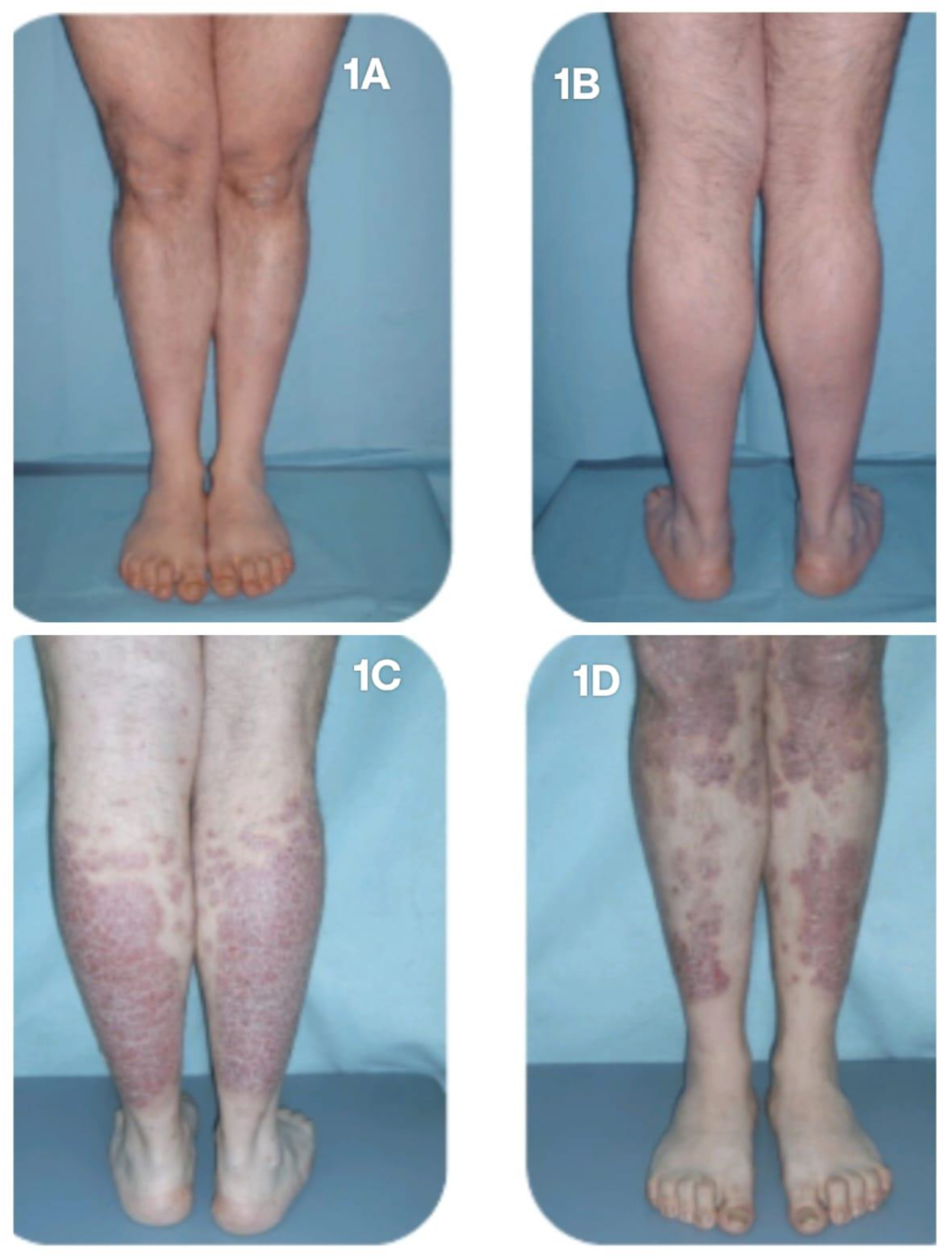 Preprints 163298 g001