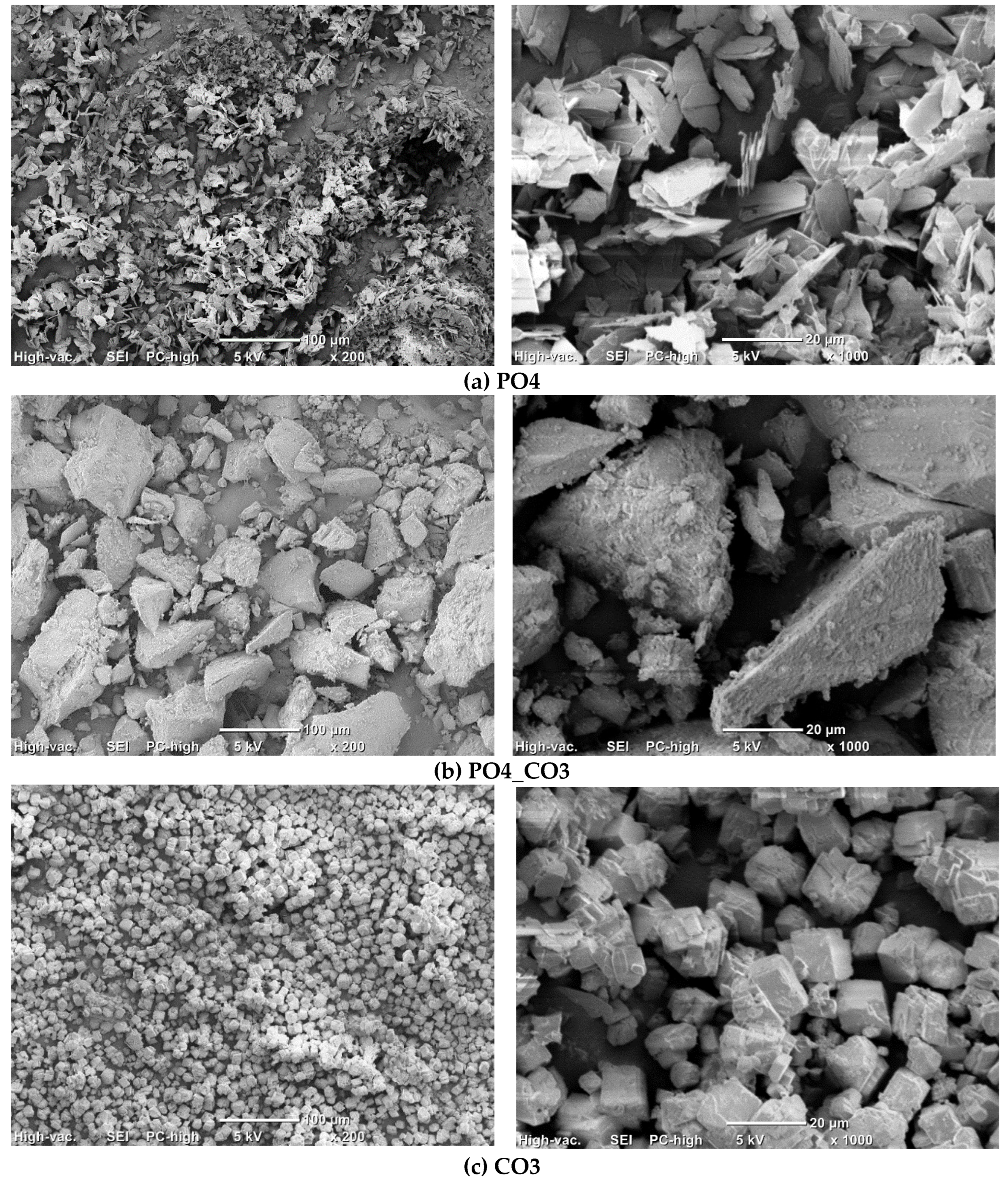 Preprints 174354 g004