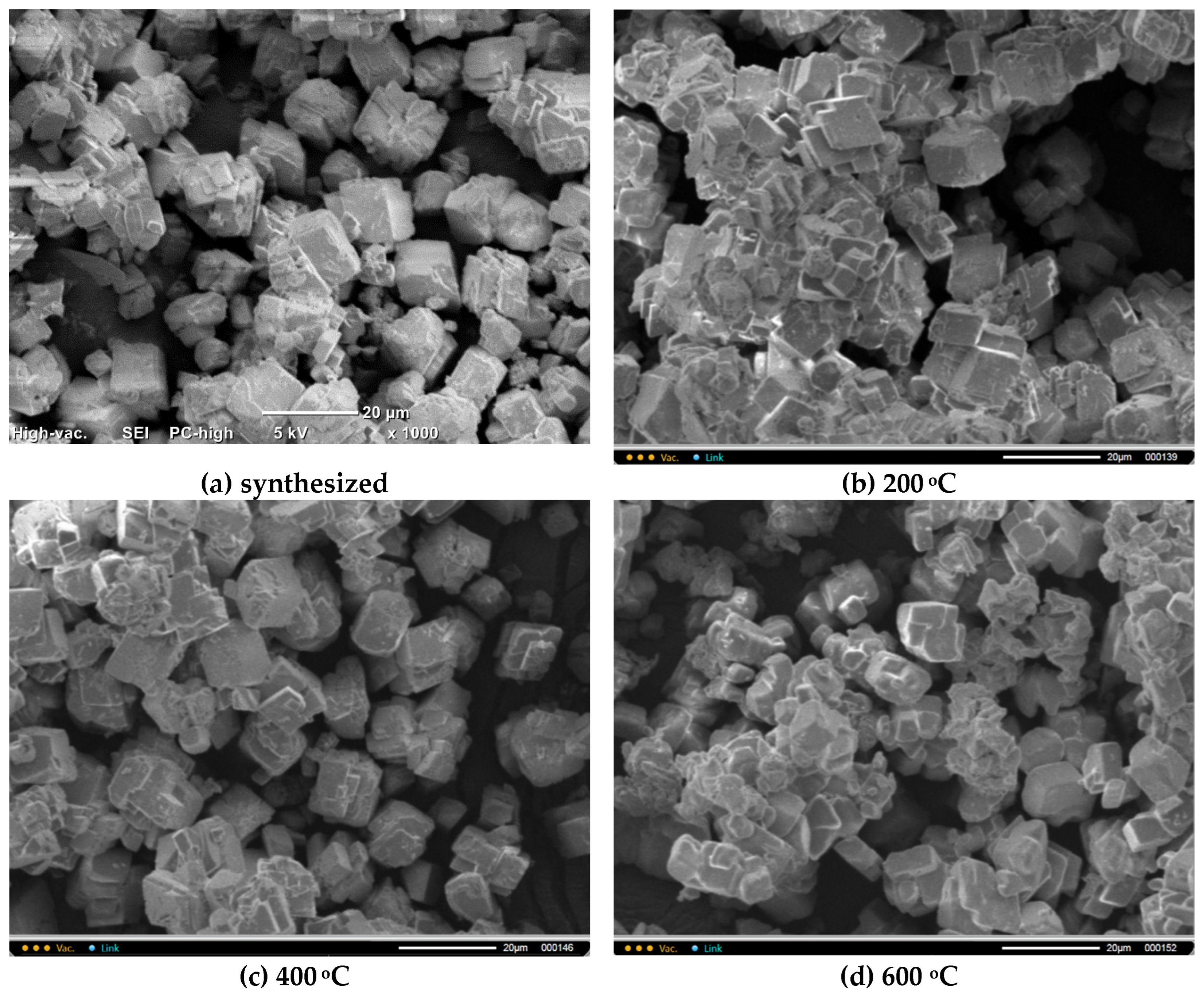 Preprints 174354 g007