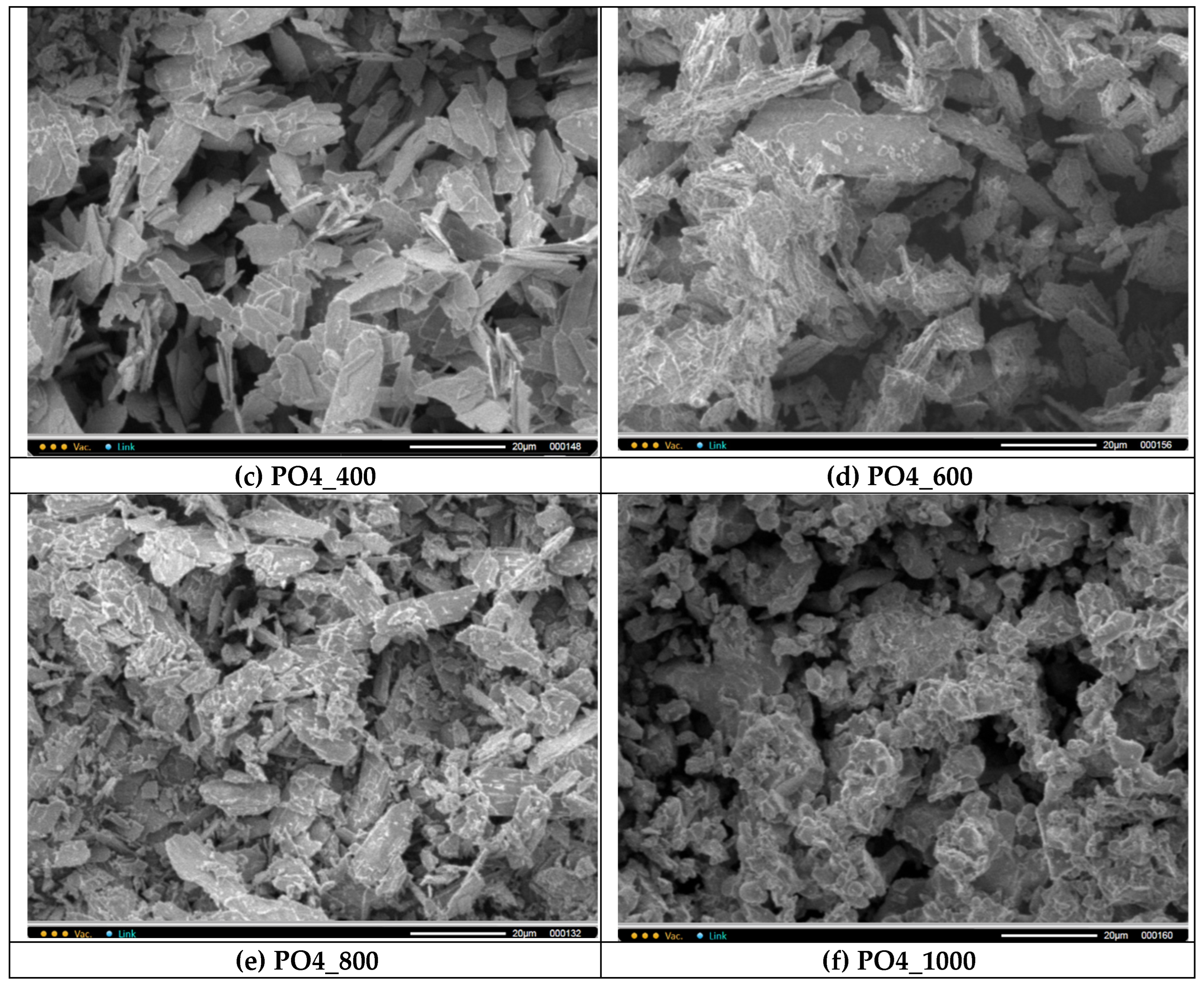 Preprints 174354 g009b