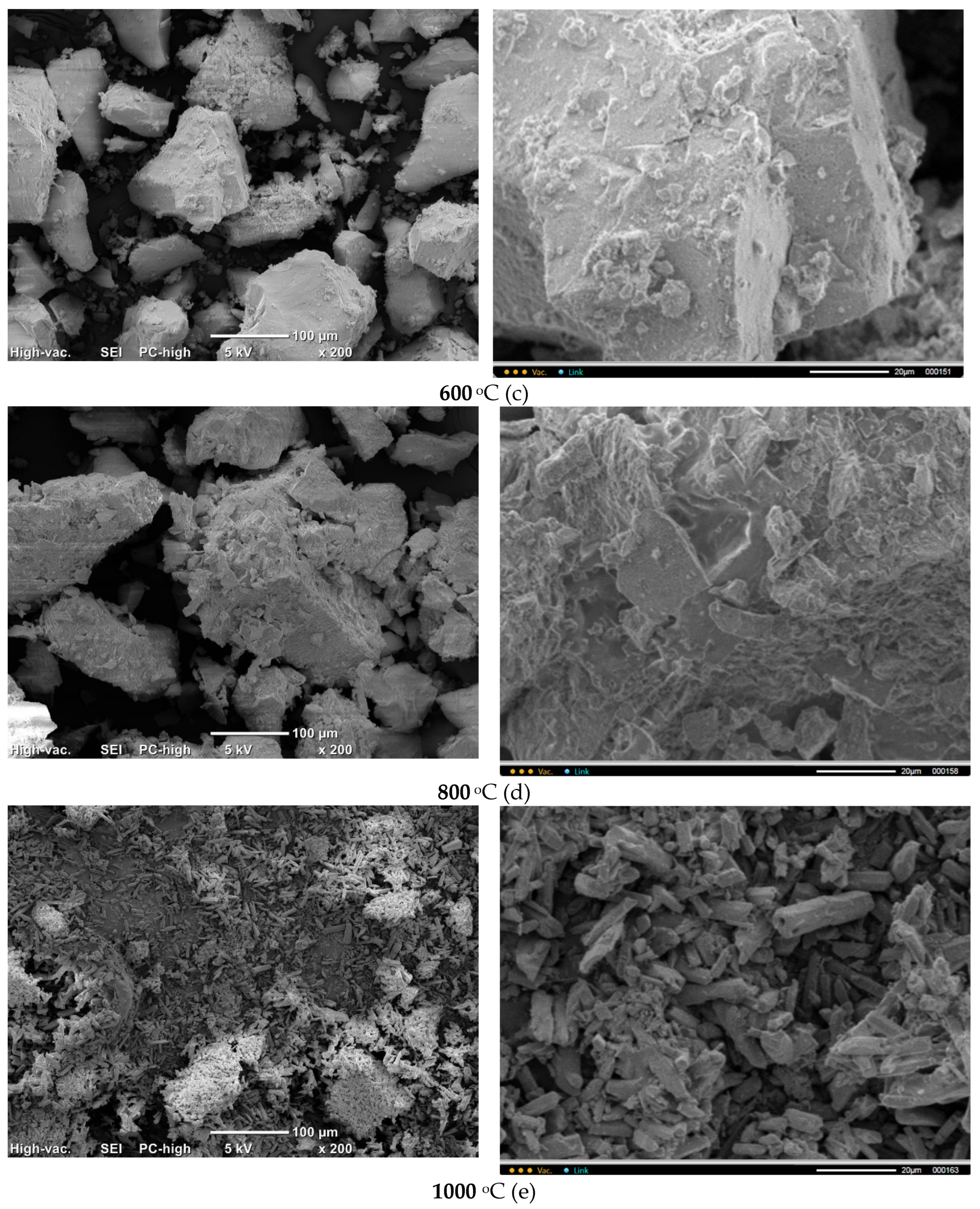 Preprints 174354 g012b