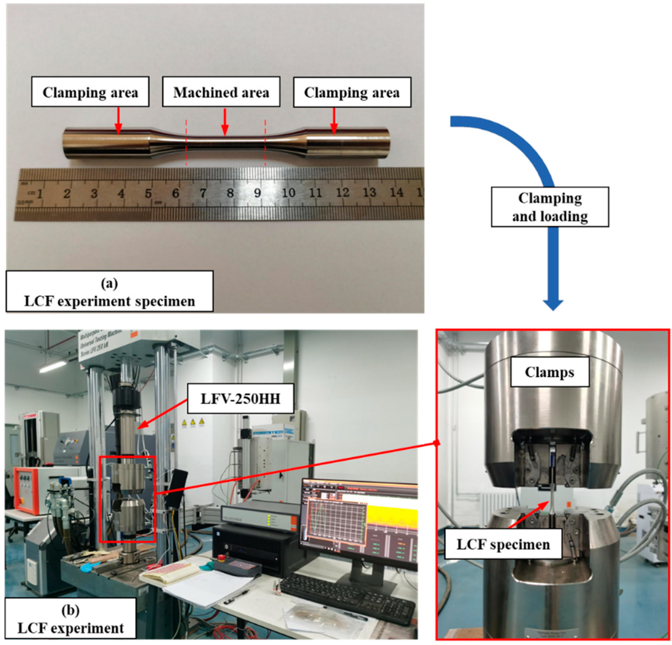 Preprints 92460 g006