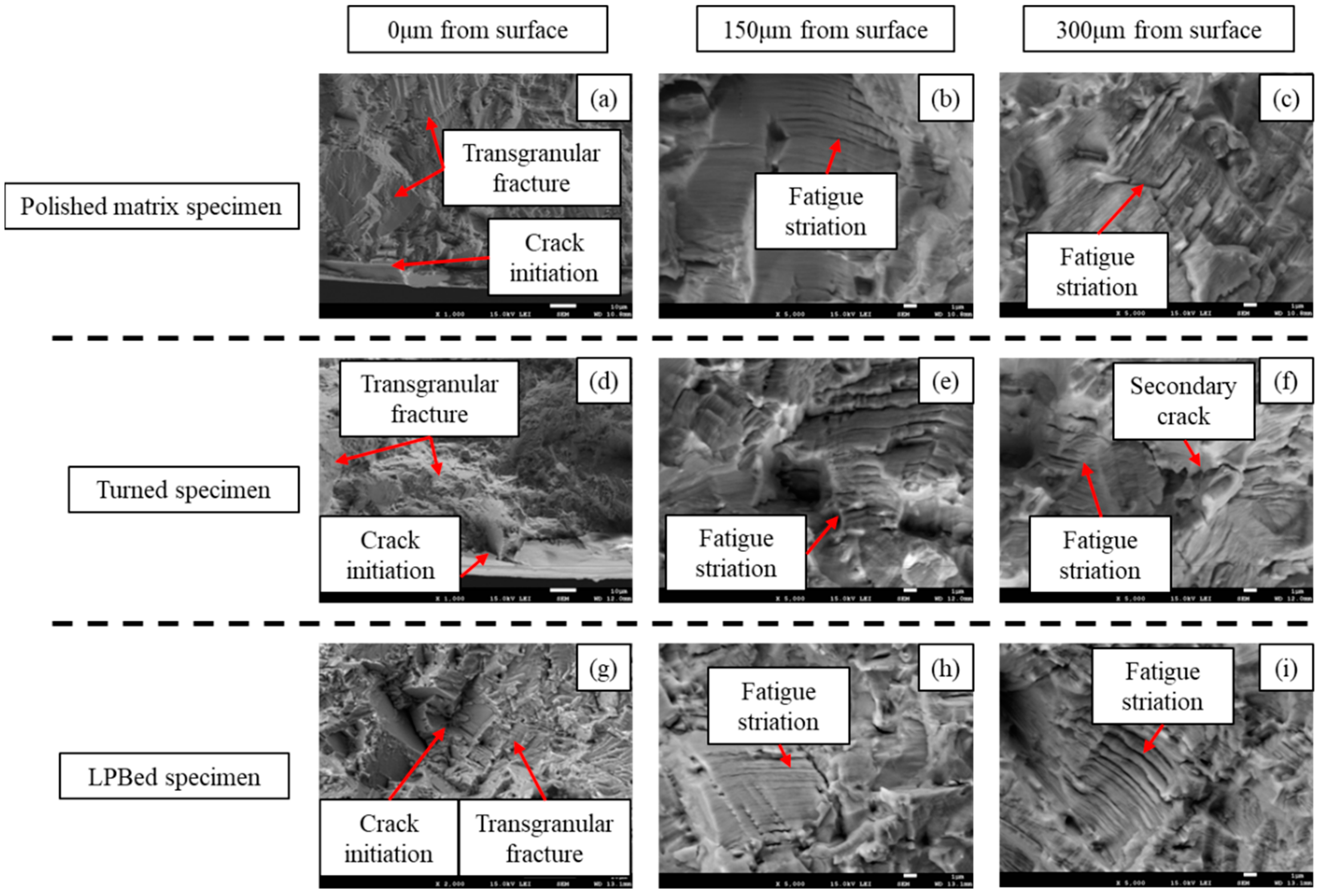 Preprints 92460 g022