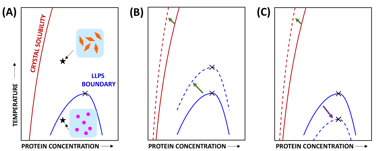 Preprints 211093 g001