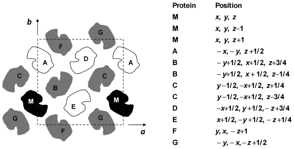 Preprints 211093 g003